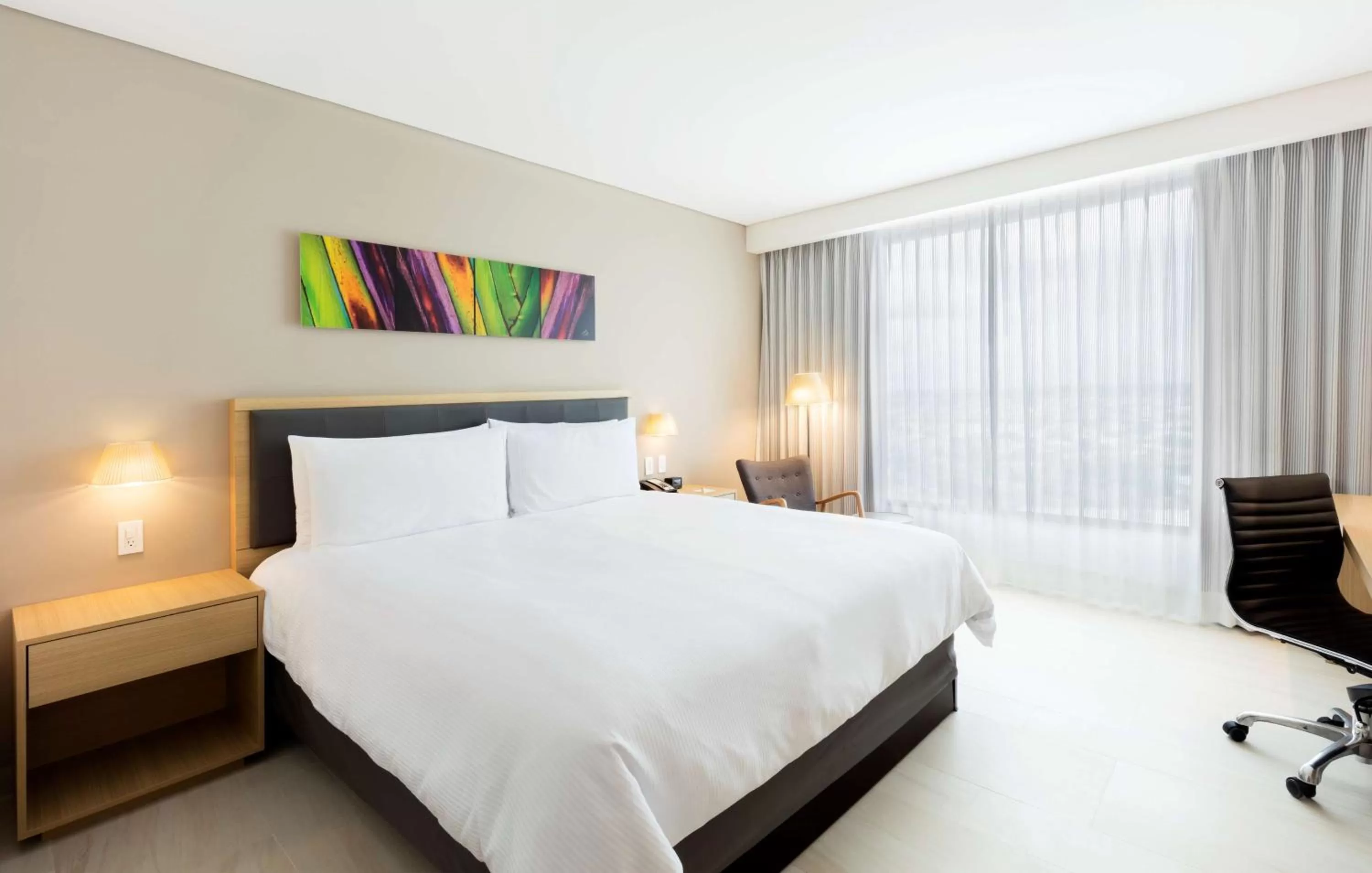 King Room in Hilton Garden Inn Merida