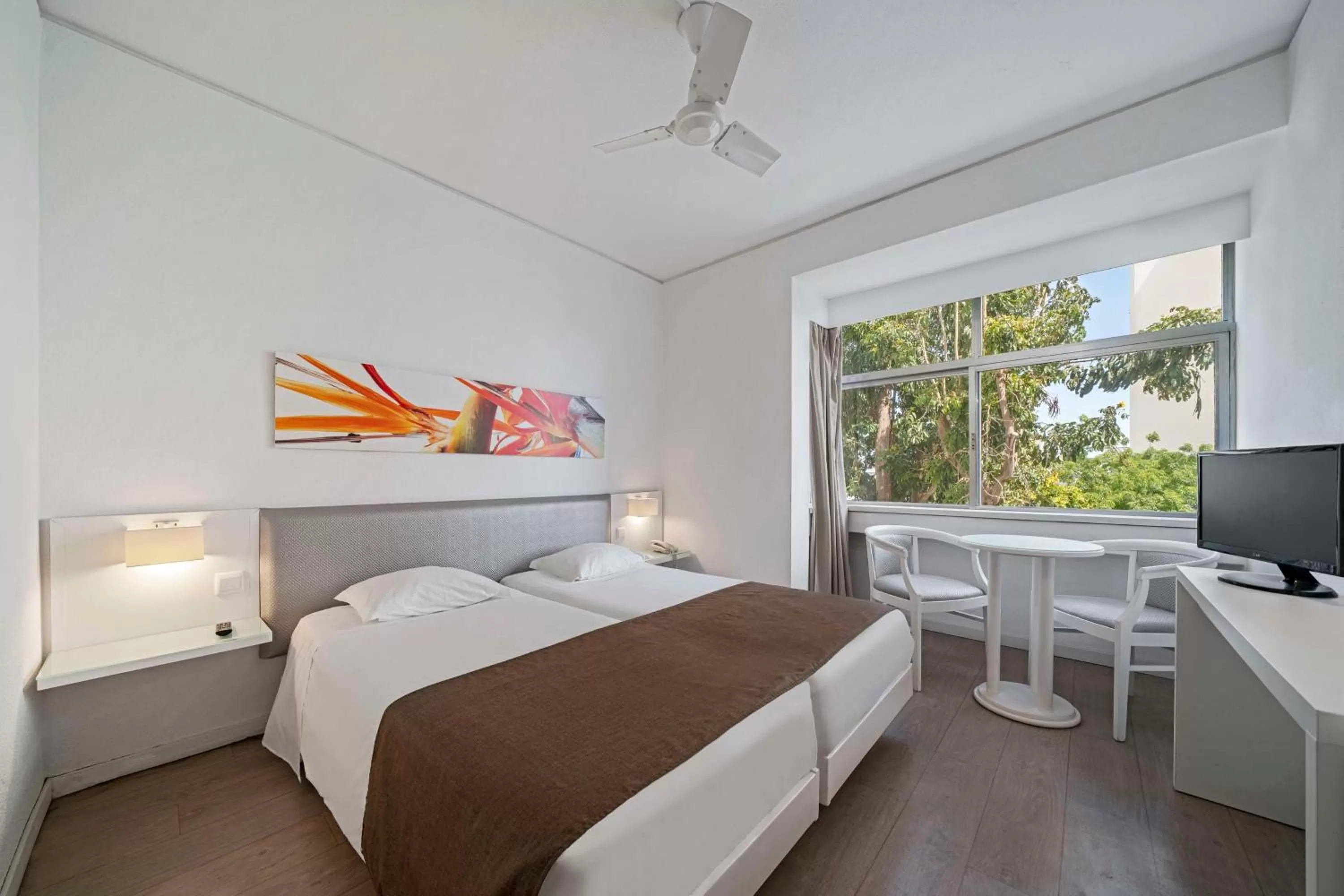 Double Room in Estrelicia Hotel