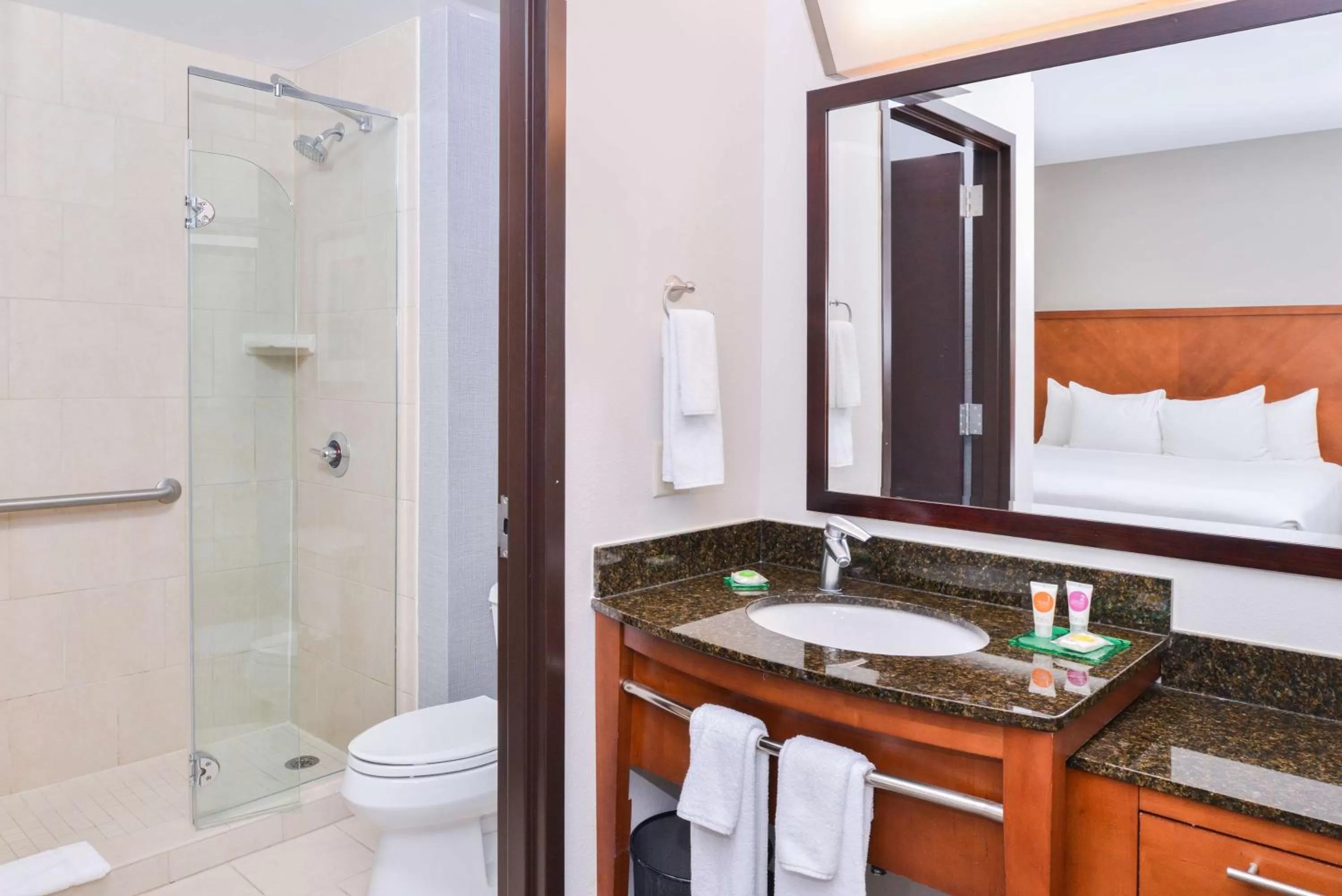 King Room with Sofa Bed and Roll-In Shower - Disability Access in Hyatt Place Chesapeake