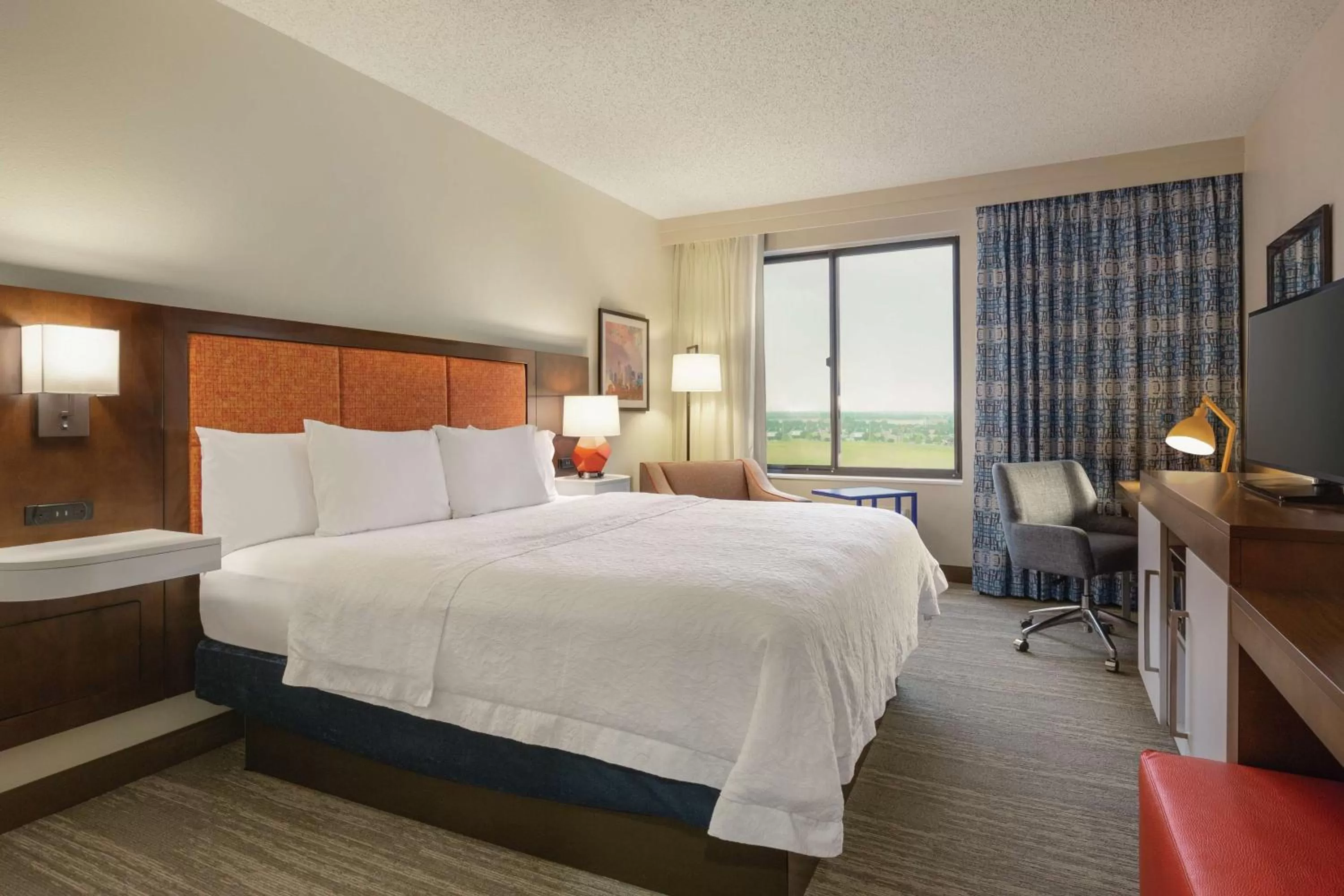 One-Bedroom King Suite - Non-Smoking in Hampton Inn & Suites Dallas-Mesquite