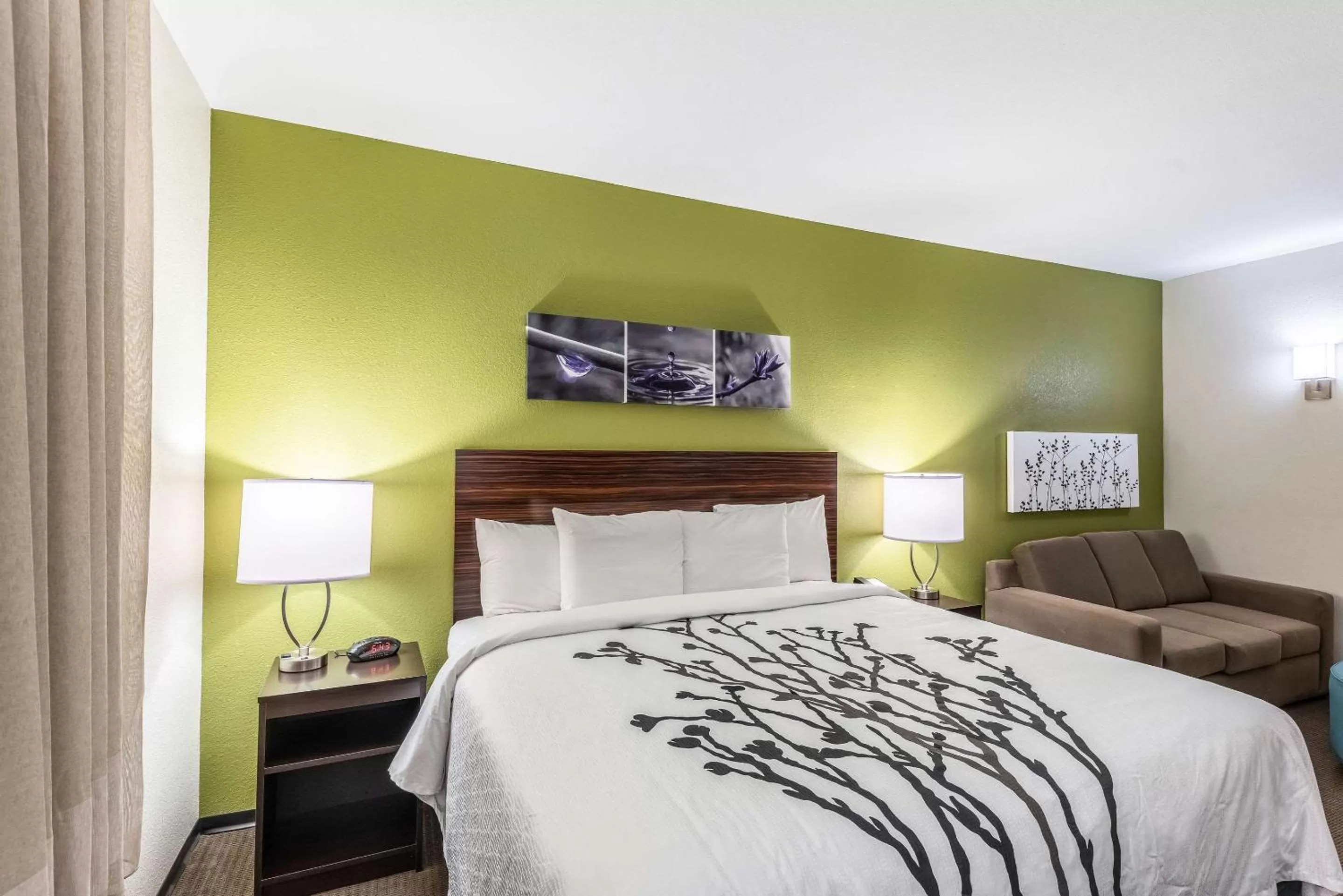 King Room - Non-Smoking in Sleep Inn & Suites Fort Worth - Fossil Creek