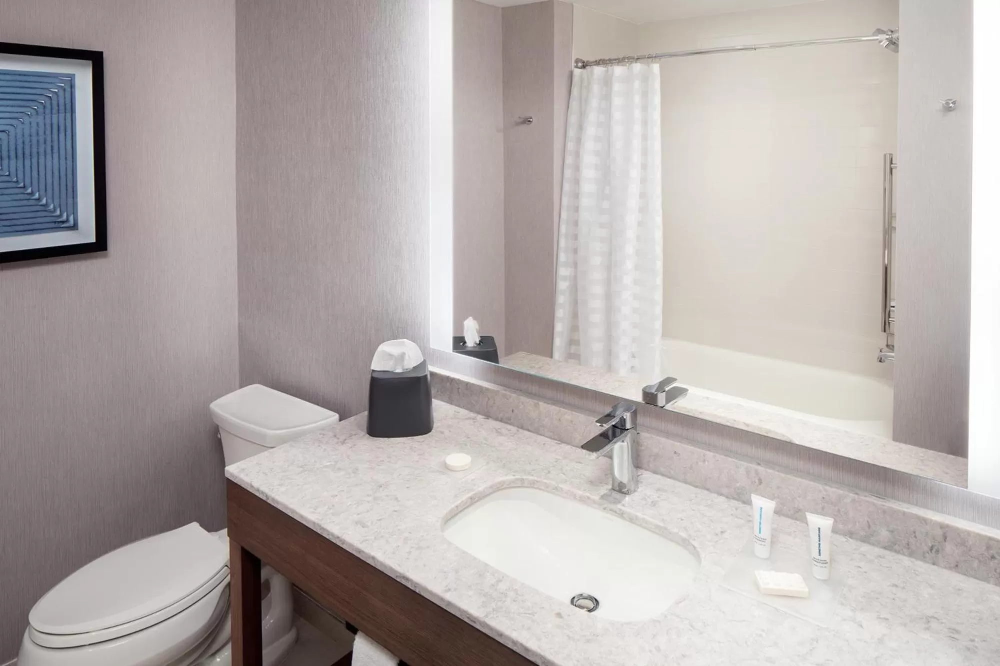 King Room with Sofa Bed - High Floor in Hyatt Place Harrisonburg