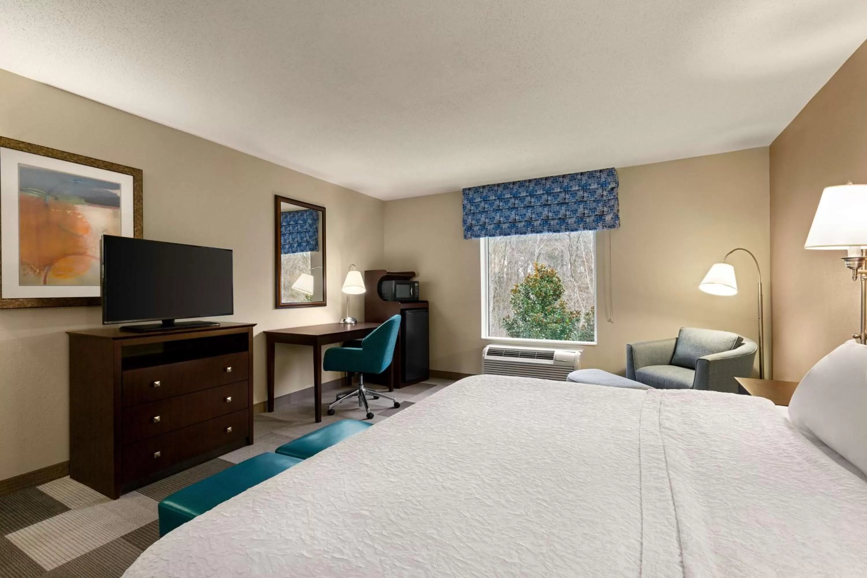 King Room with Roll-In Shower - Mobility and Hearing Access/Non-Smoking in Hampton Inn & Suites Atlanta Airport West Camp Creek Pkwy
