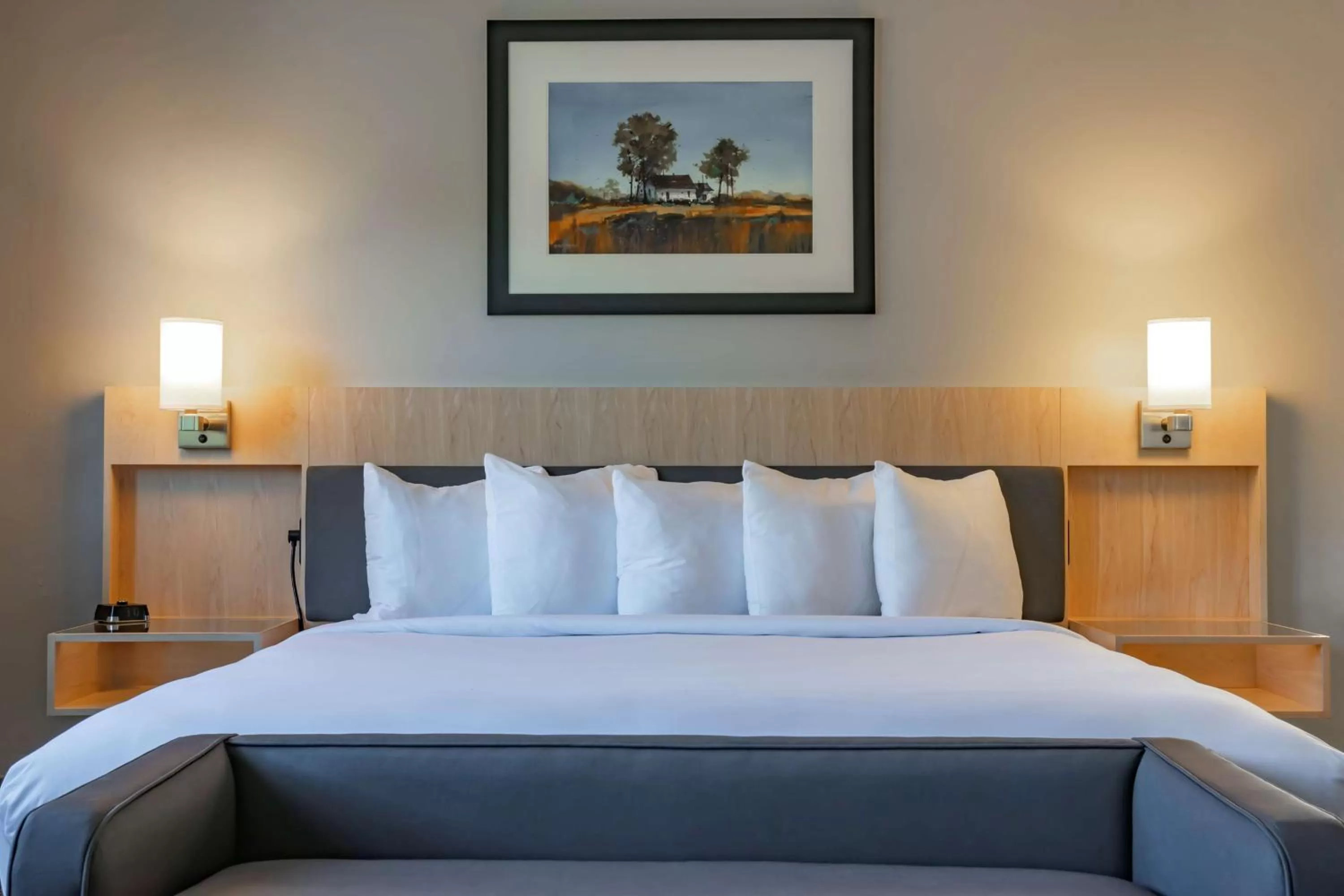 King Room in The Waters Hot Springs, Tapestry Collection by Hilton