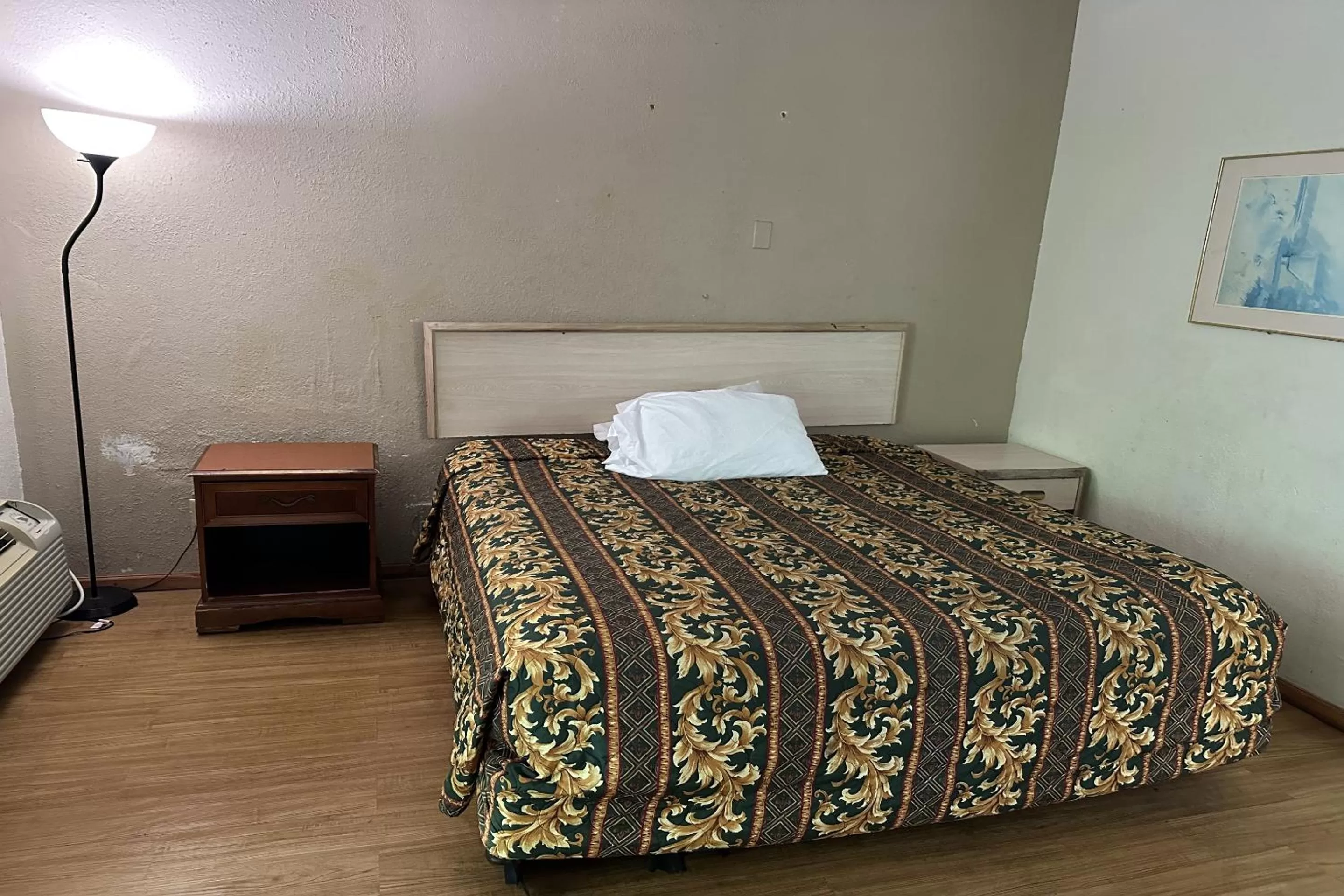 Queen Bed Smoking in Kampus Inn Gainesville - University Area Hotel