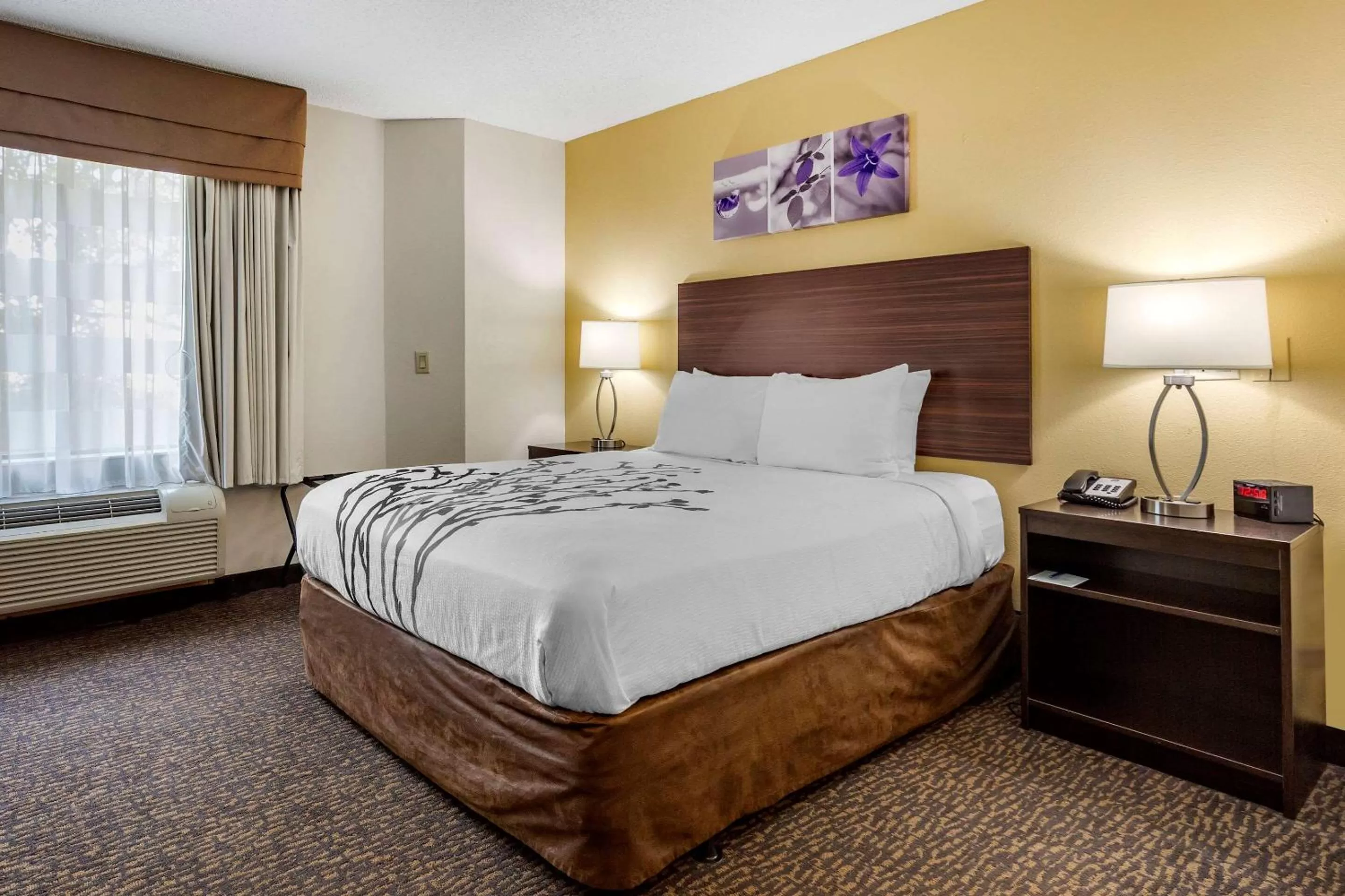 Queen Room - Accessible/Non-Smoking in Sleep Inn Henderson I-85