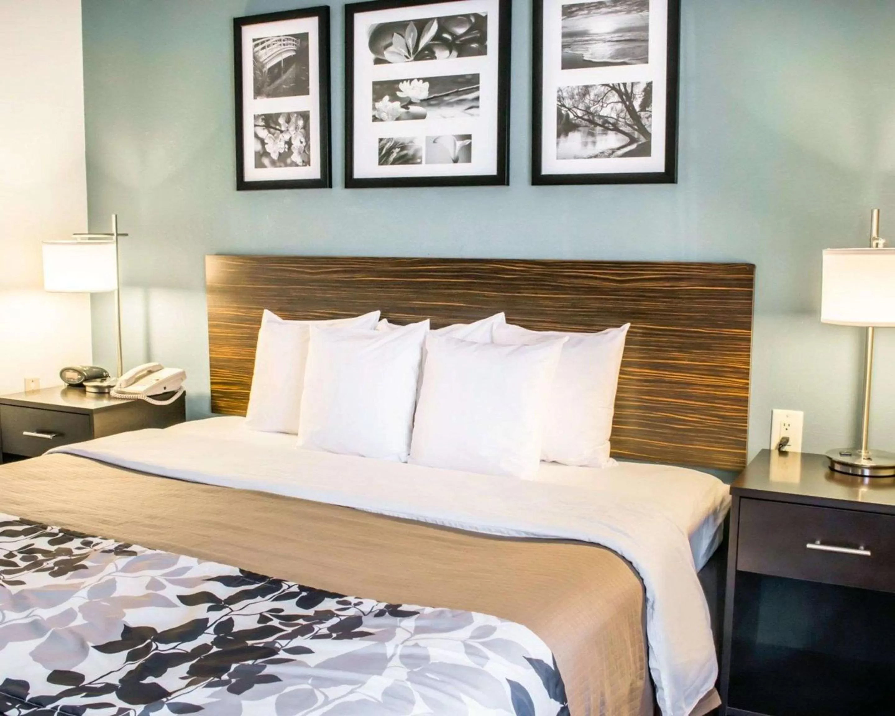 Standard Room King Bed Non Smoking in Sleep Inn & Suites Monticello