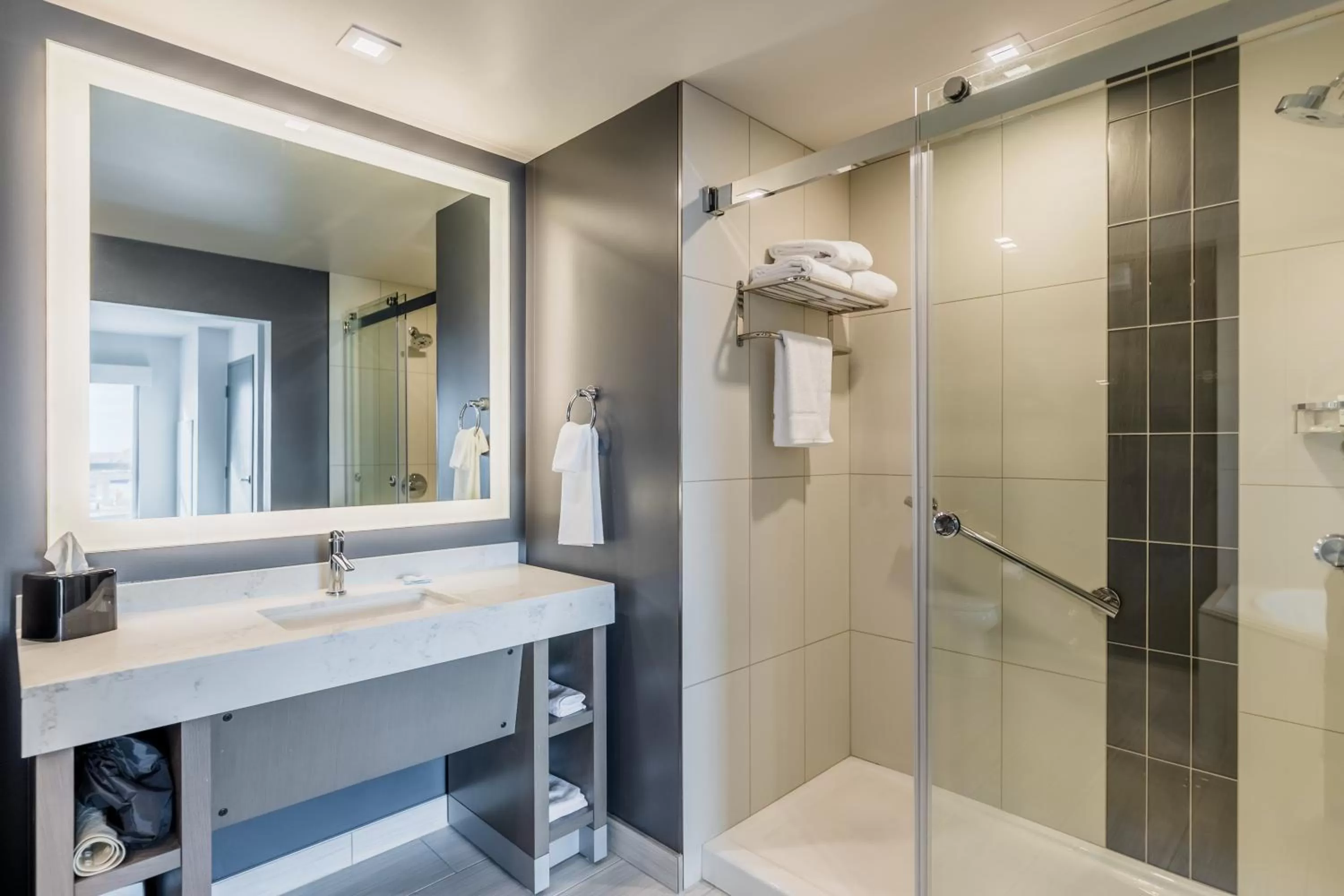 One-Bedroom King Suite in Hyatt House Winnipeg South Outlet Collection