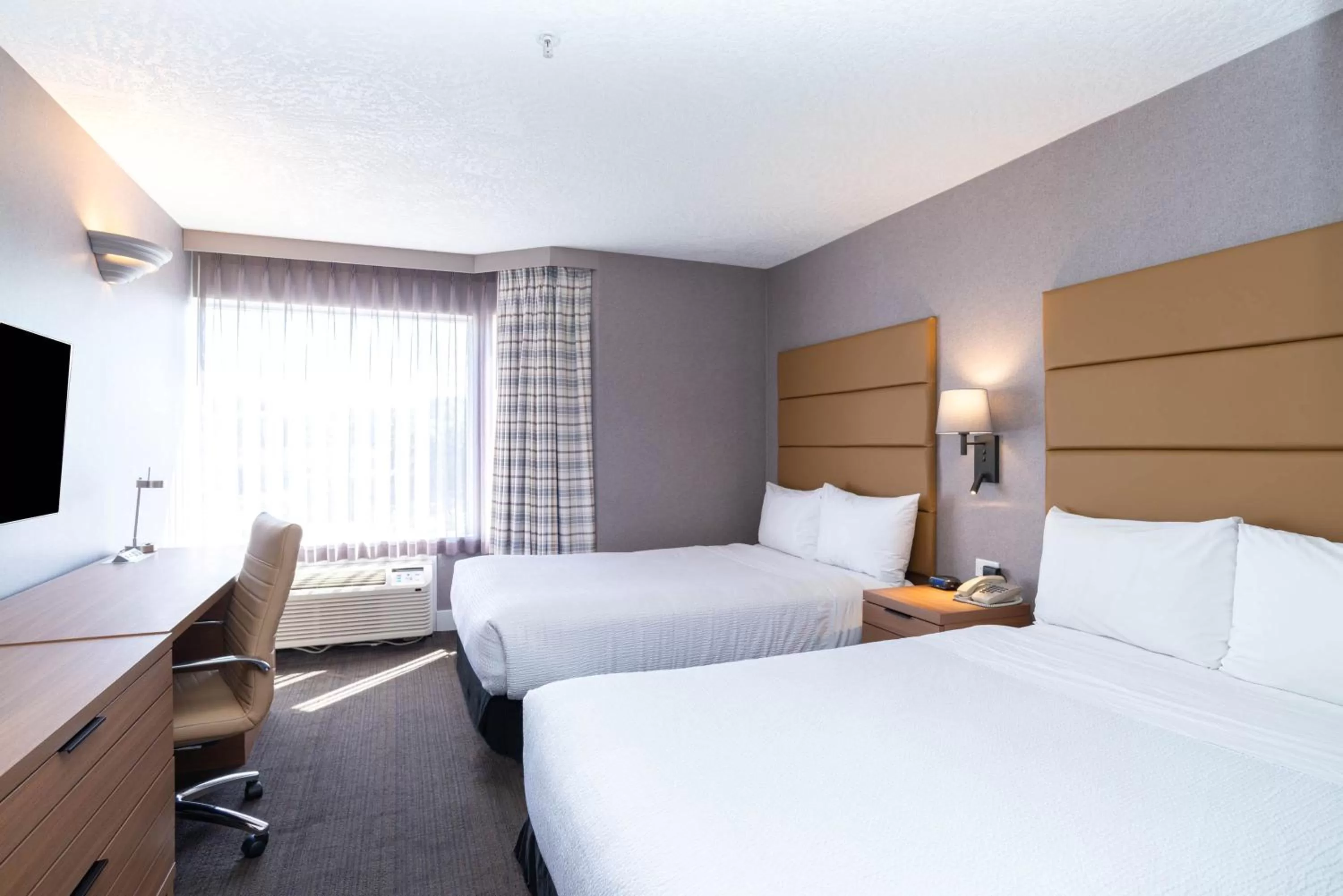 Standard Suite, 2 Double Beds, Sofa Bed, Kitchenette in Sandman Hotel Victoria