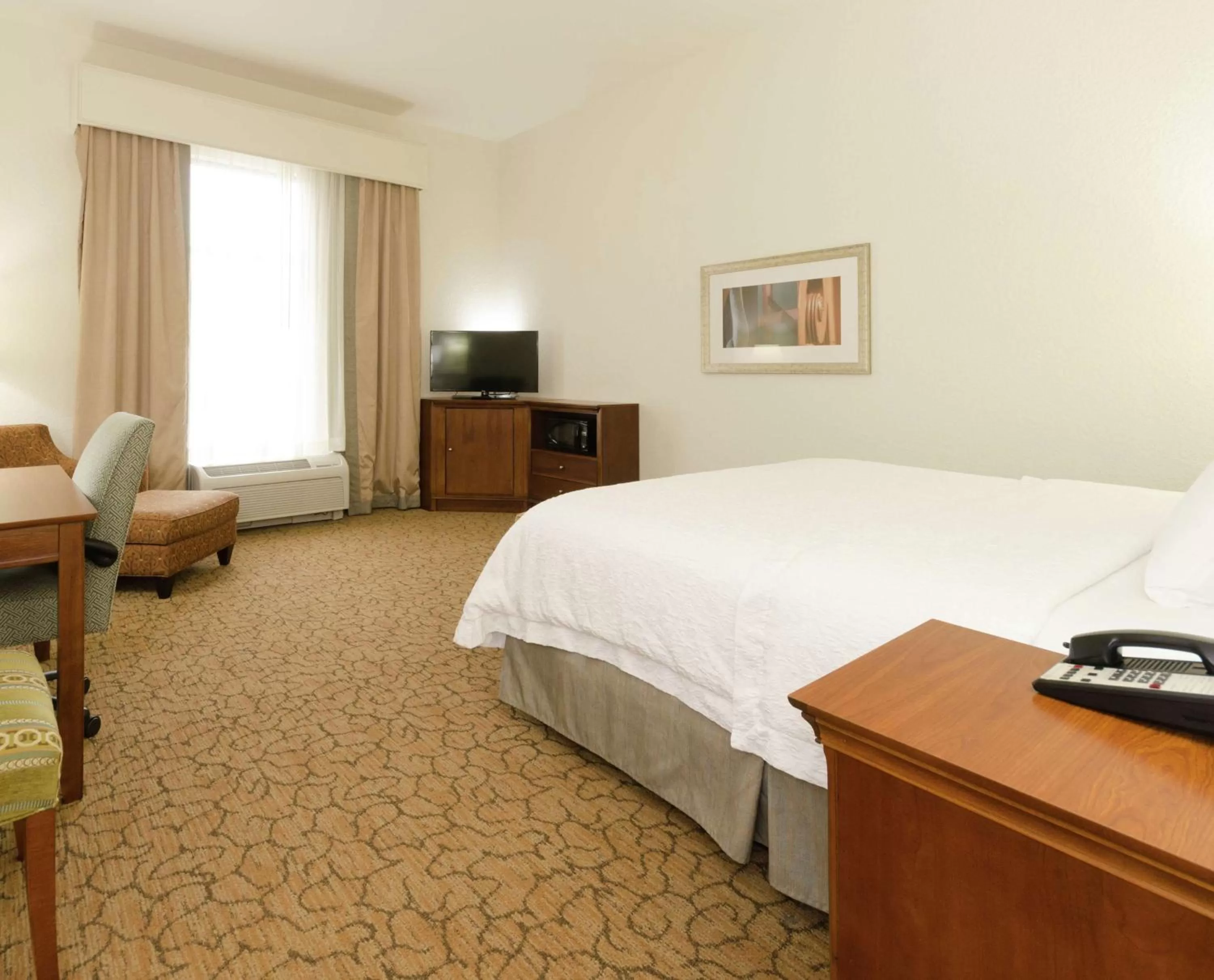 King Room with Accessible Tub - Mobility and Hearing Access/Non-Smoking in Hampton Inn Hickory