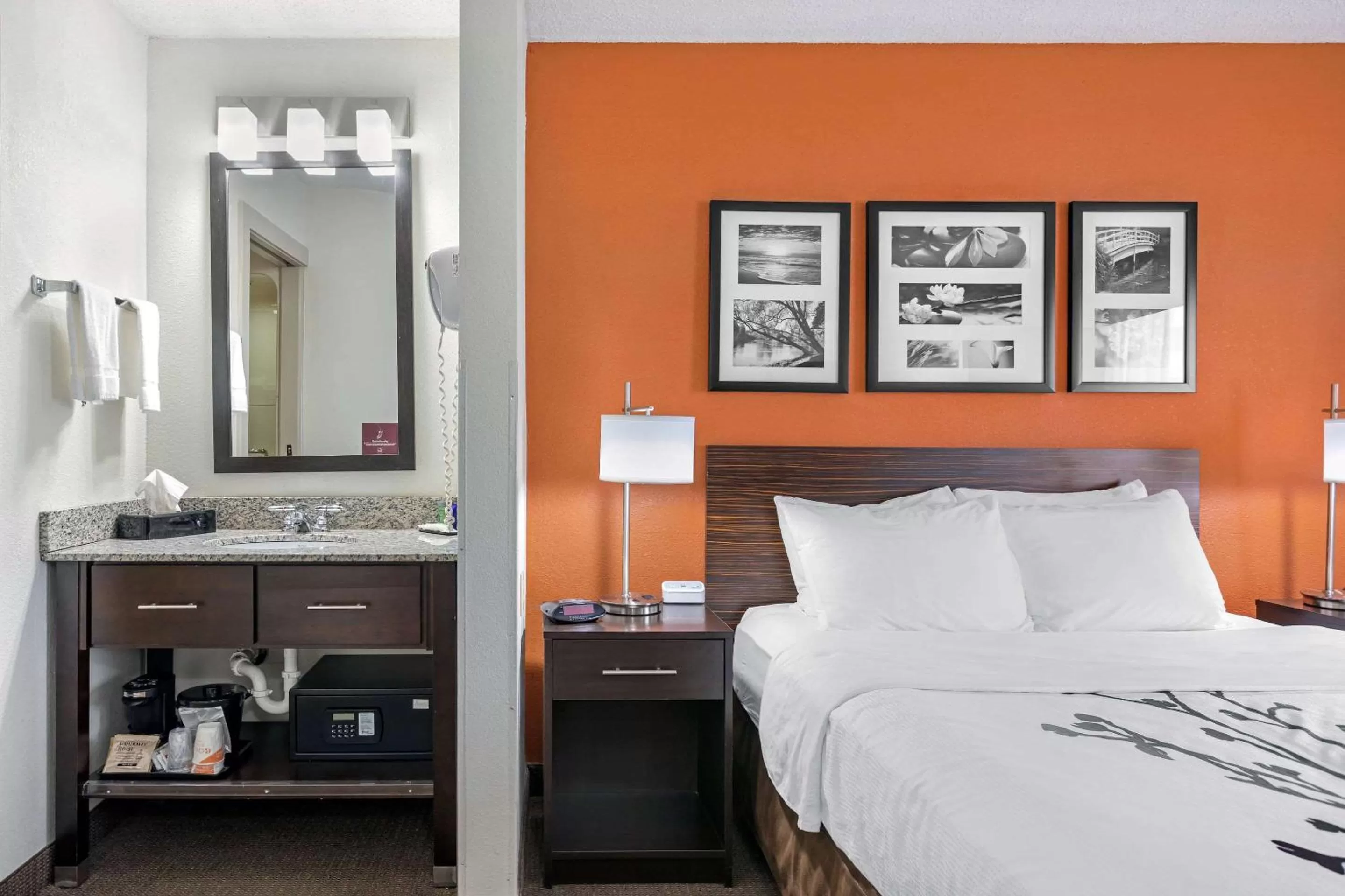 Queen Room - Non-Smoking in Sleep Inn DeWitt - Lansing North