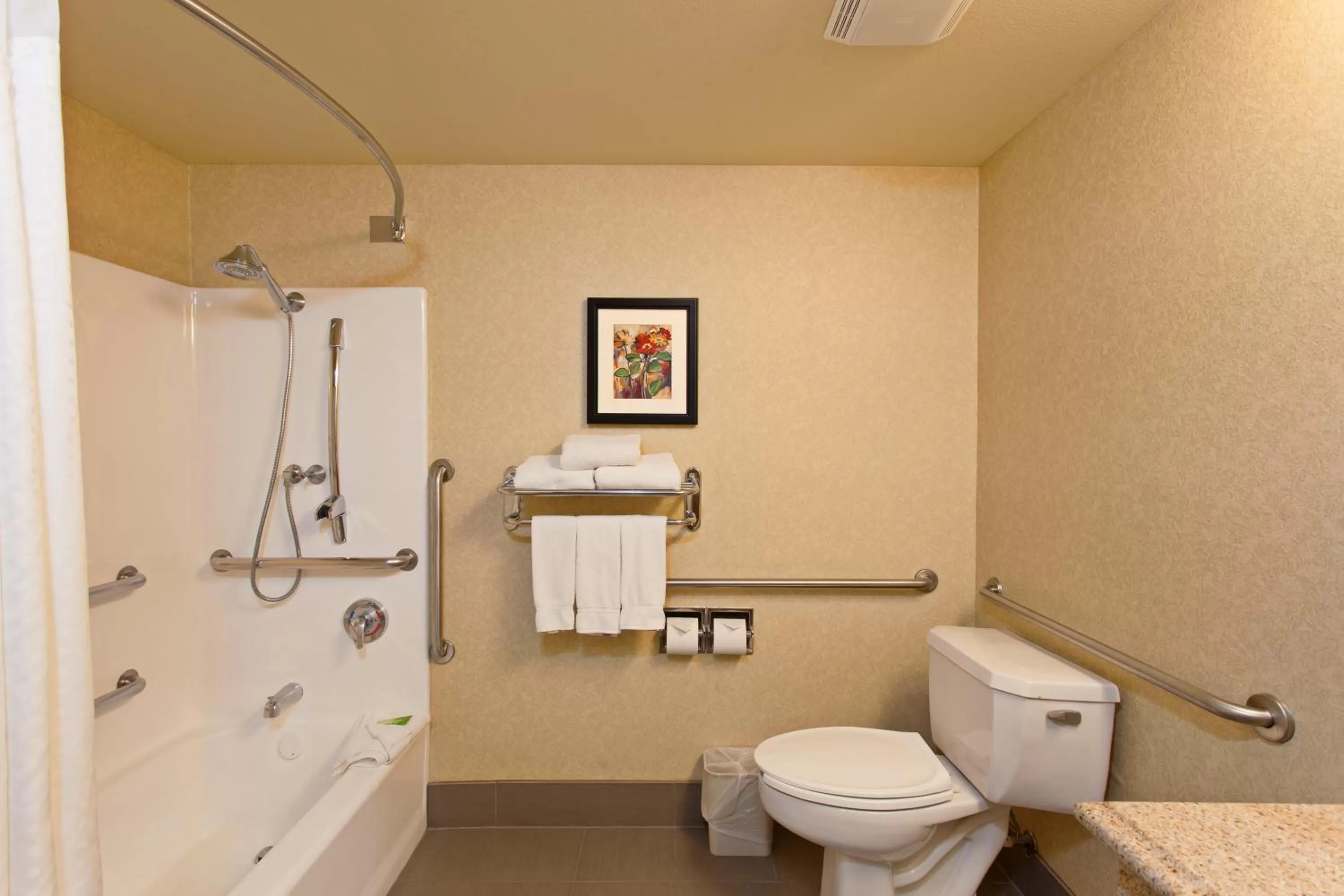 Standard King Room with Accessible Tub - Mobility Access in Holiday Inn Express Temecula by IHG
