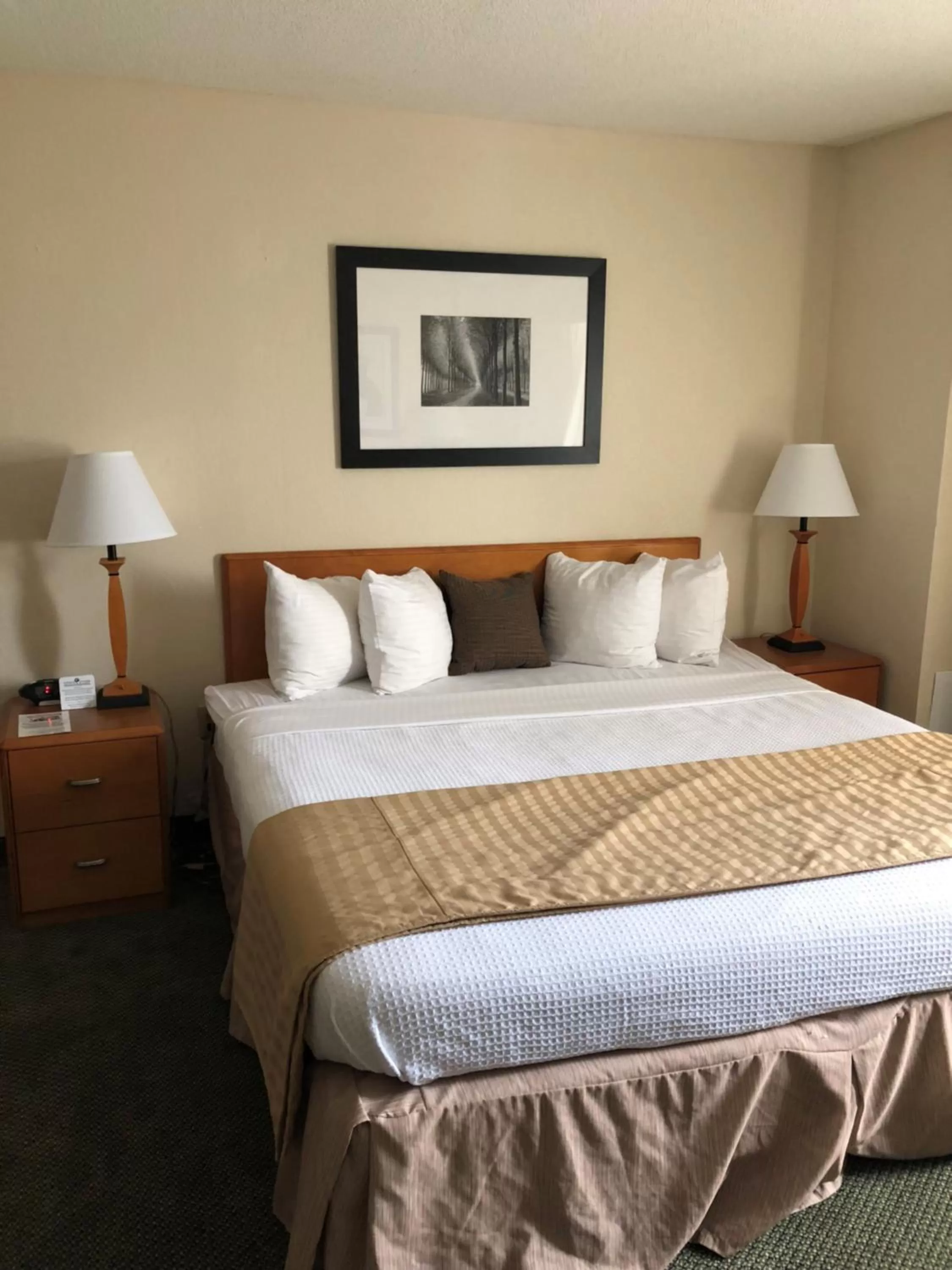 King Room in Capital Plaza Hotel