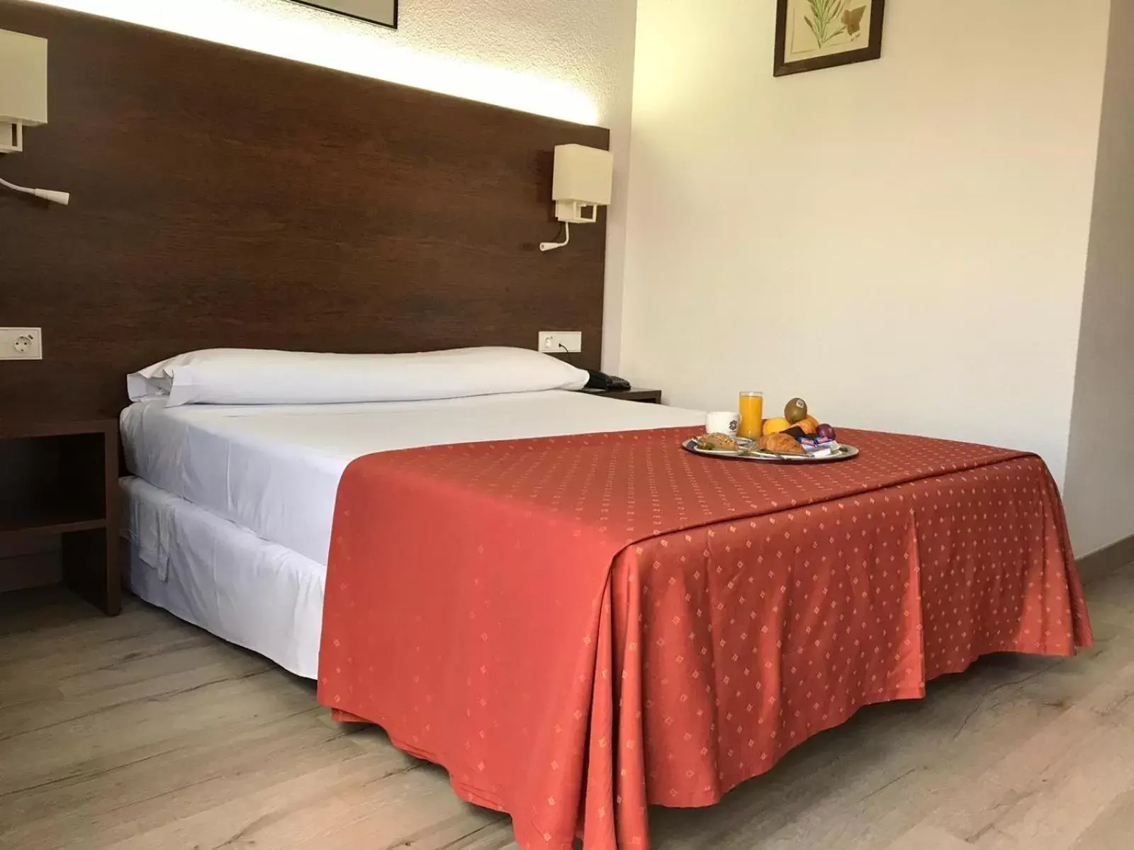 Pacoche Murcia Pacoche Murcia