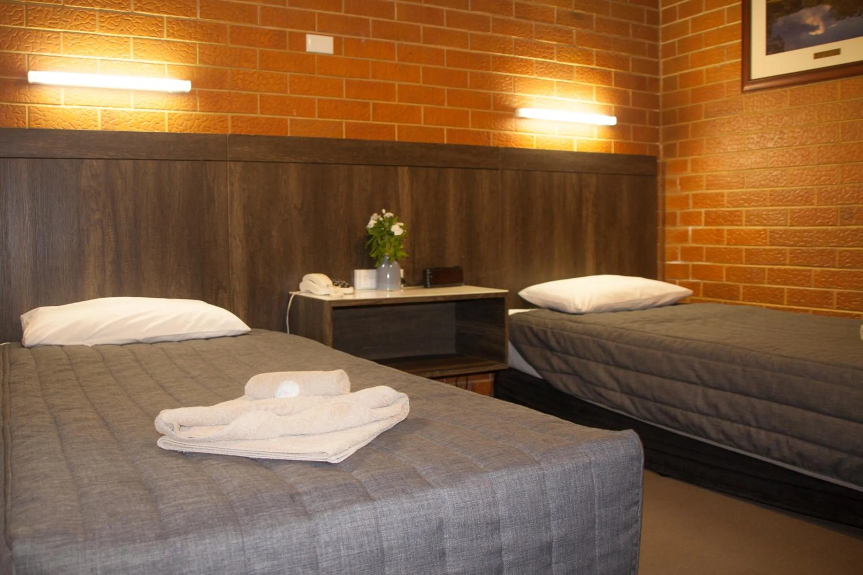 Twin Room in Angaston Vineyards Motel