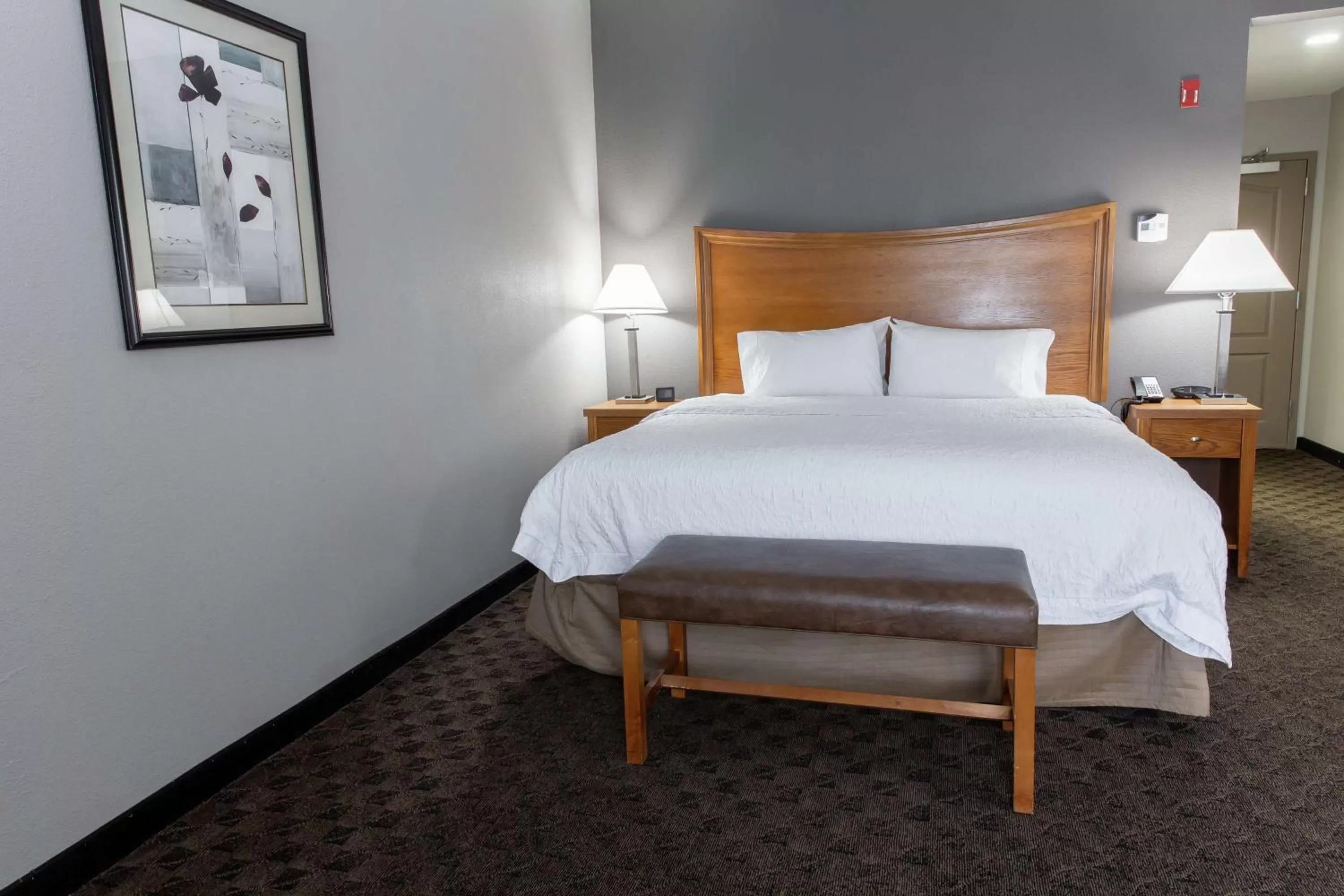 King Studio Suite with Sofa Bed - Non-Smoking in Hampton Inn & Suites Chesapeake-Square Mall