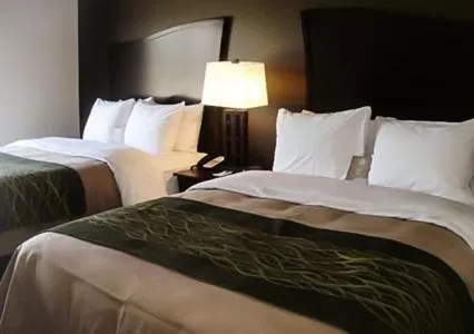 Queen Room with Two Queen Beds - Non-Smoking in Comfort Inn & Suites Woodward