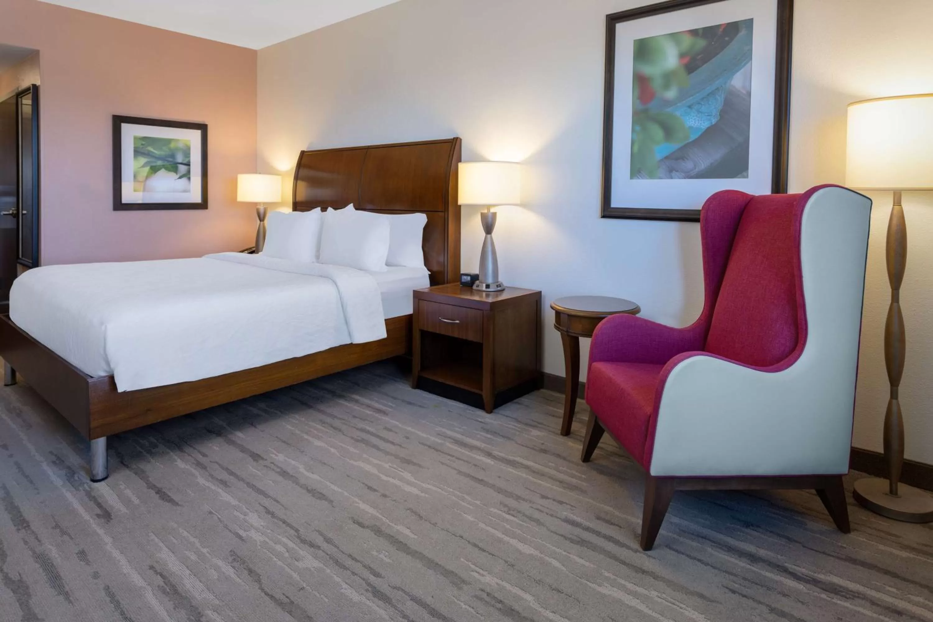 King Room with Accessible Tub - Mobility Access in Hilton Garden Inn Roanoke