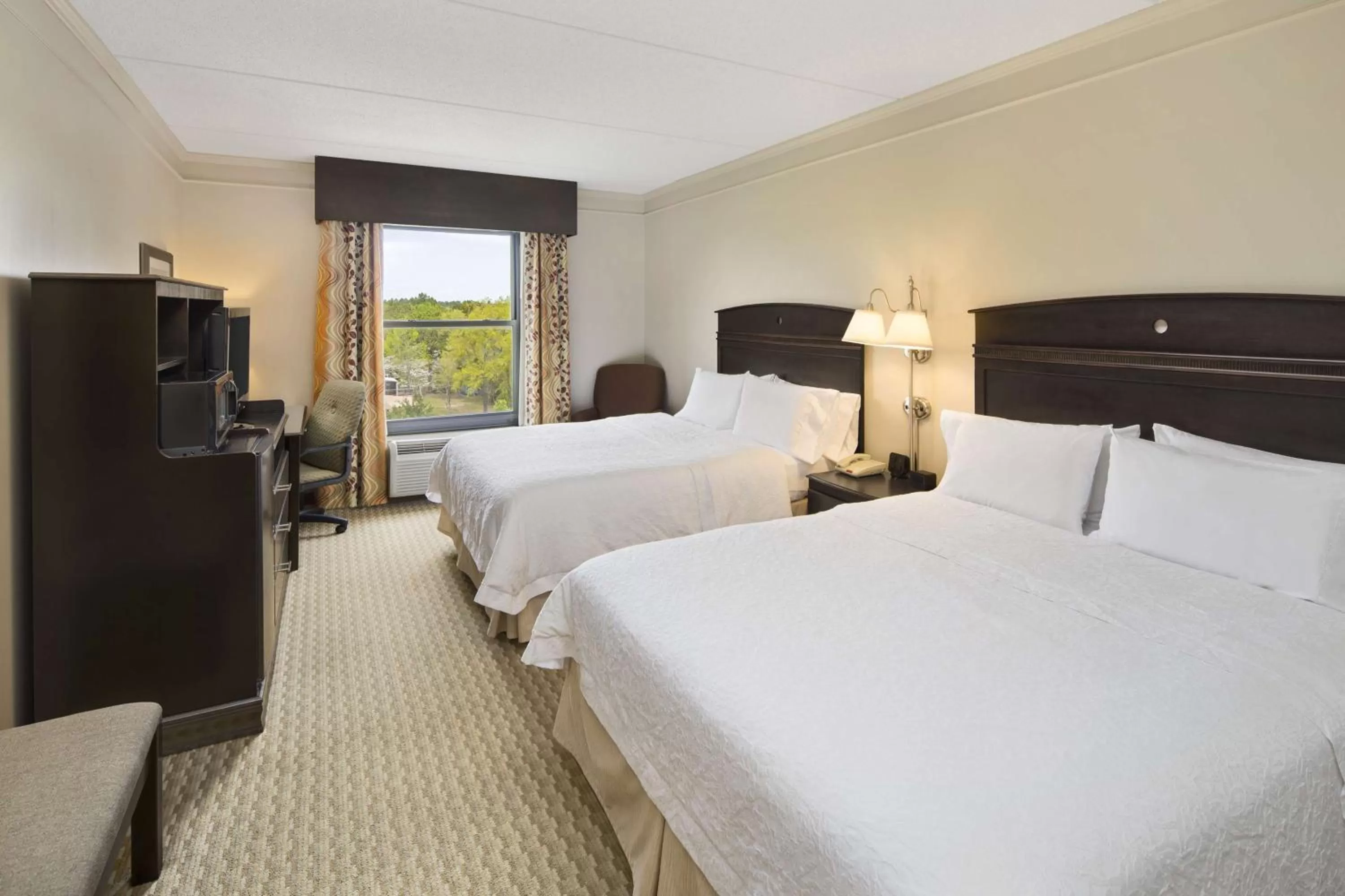 Room with Two Queen Beds - Non-Smoking in Hampton Inn Columbia I-20-Clemson Road