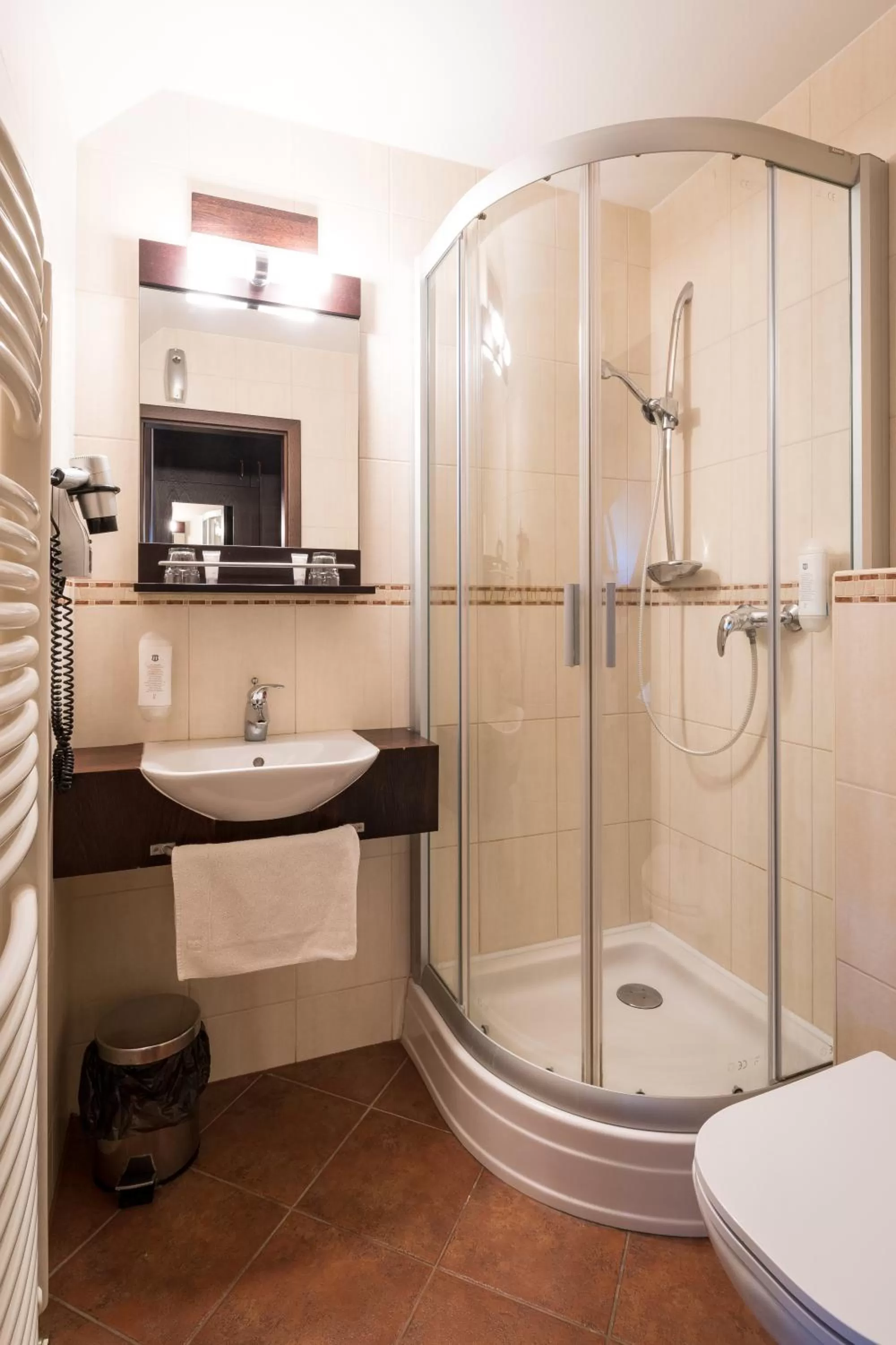 Double Room - single occupancy in Hotel U Hejtmana Šarovce
