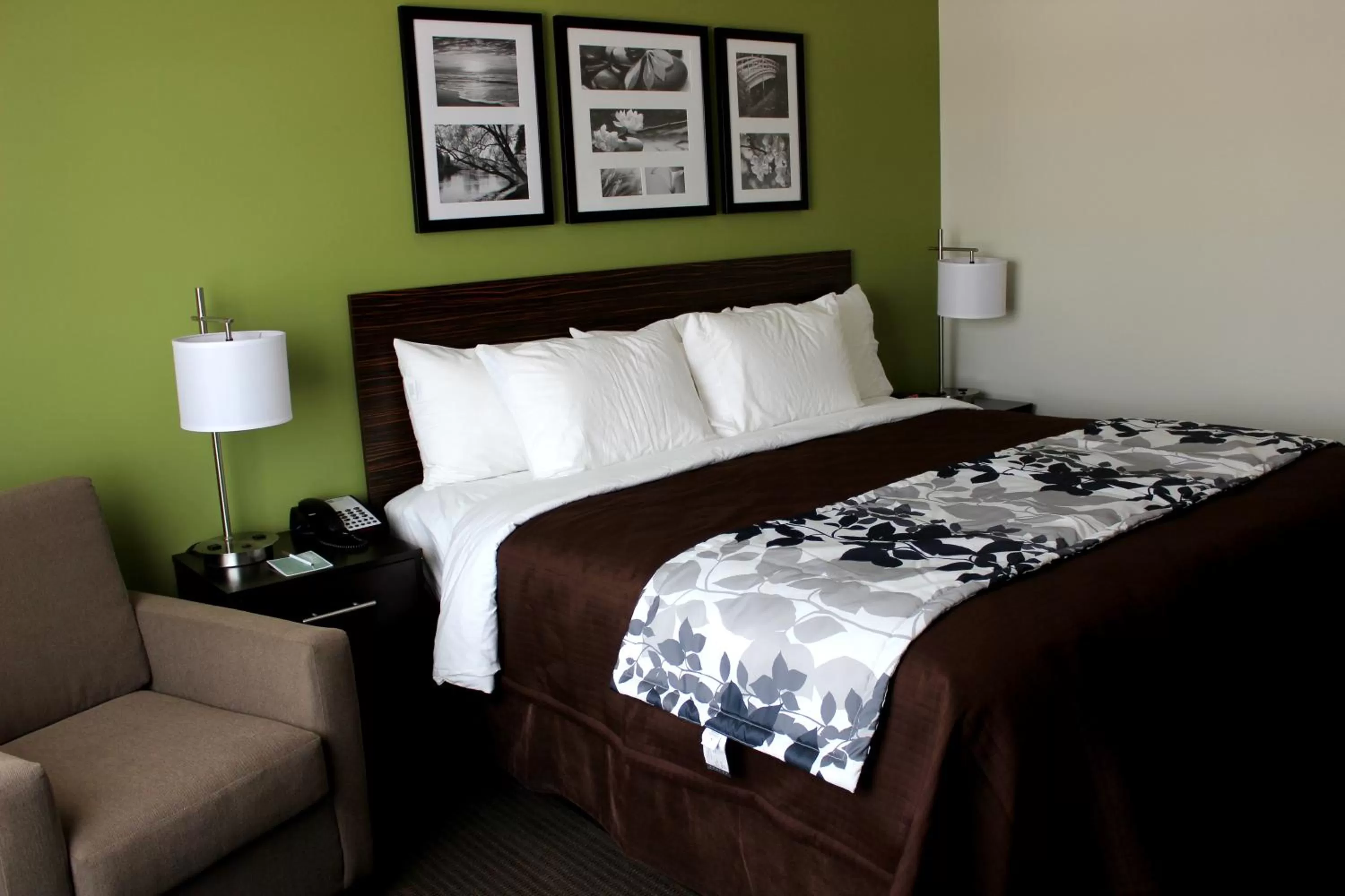 King Room - Non-Smoking in Sleep Inn & Suites Odessa near University