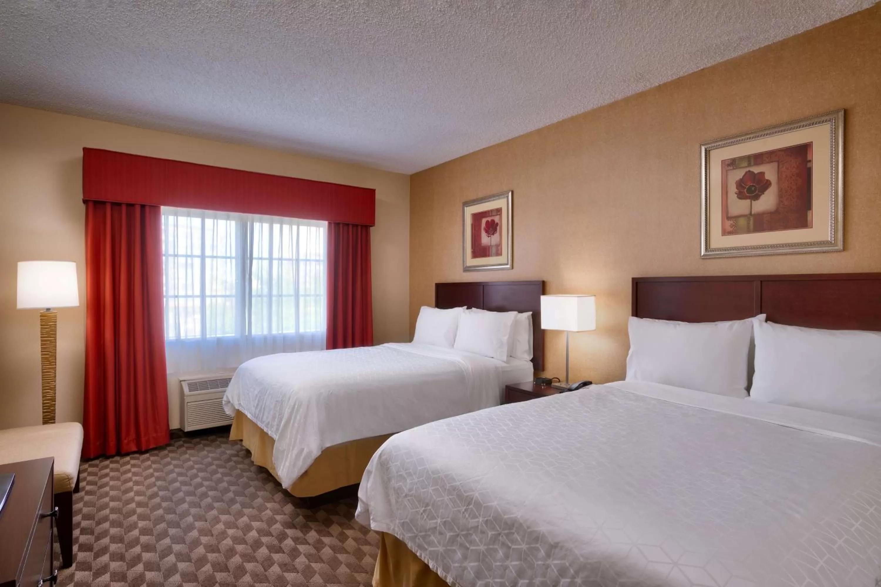 Queen Suite with Two Queen Beds in Best Western Downtown Phoenix