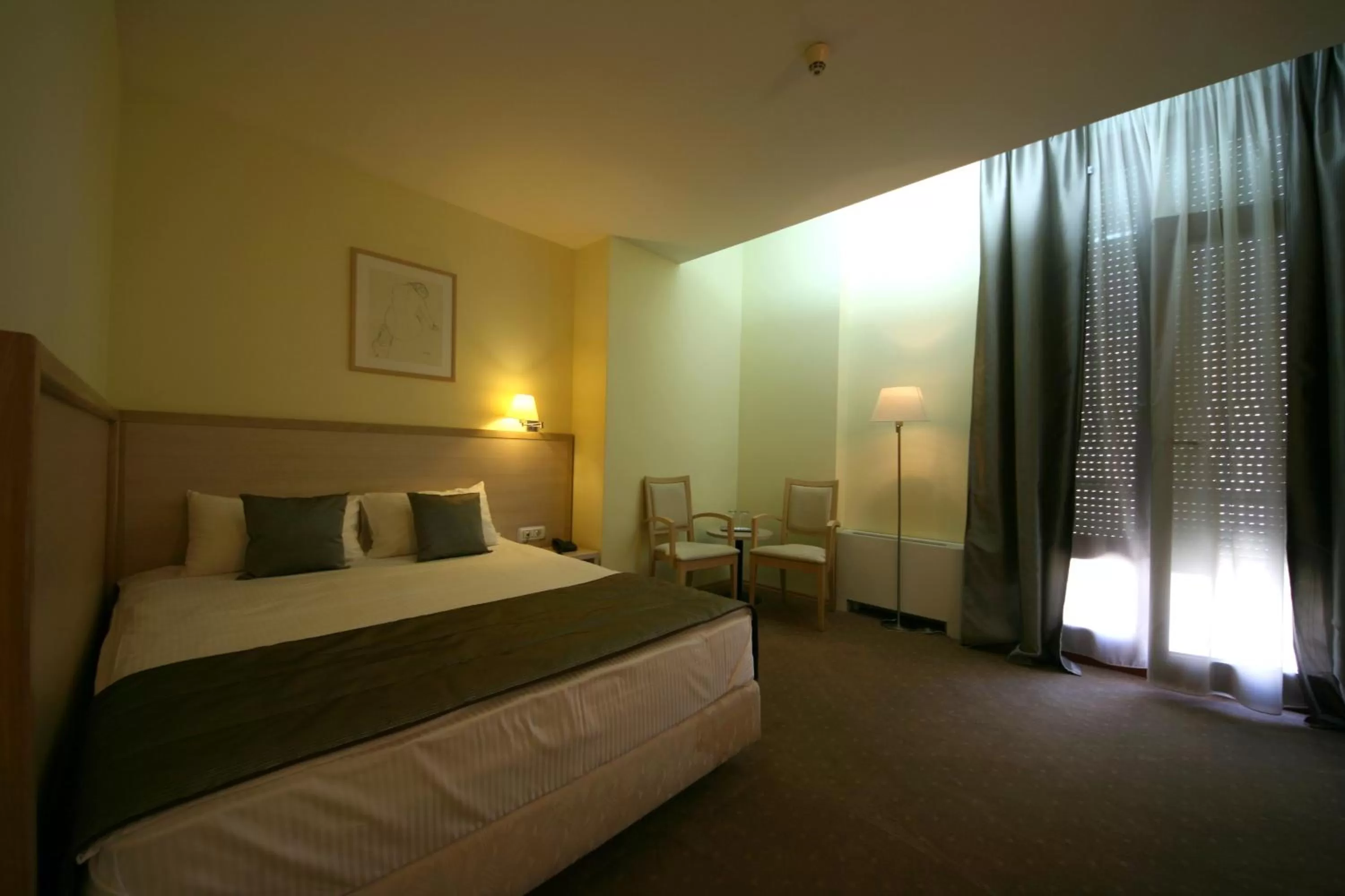 Single Room in Savoy Hotel