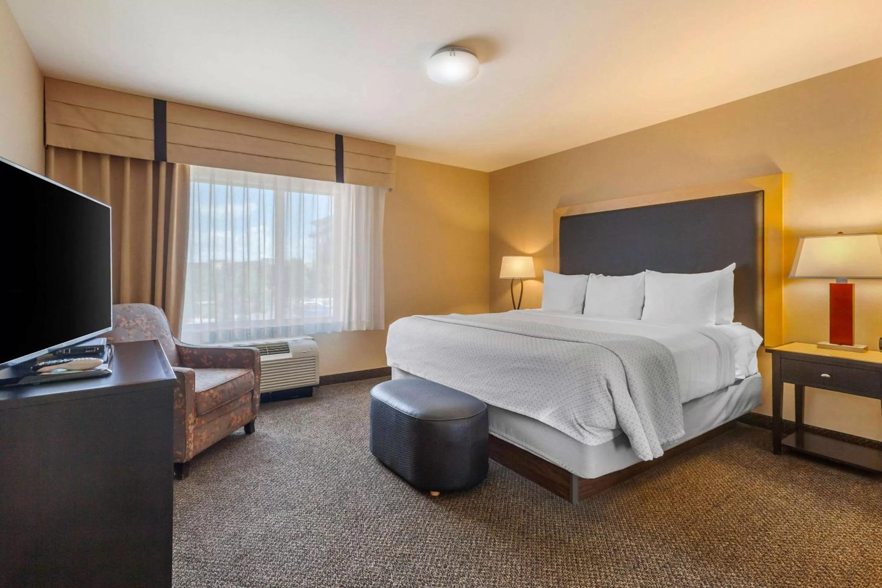 King Suite with Two Person Sofa Bed in Cambria Hotel Ft Collins