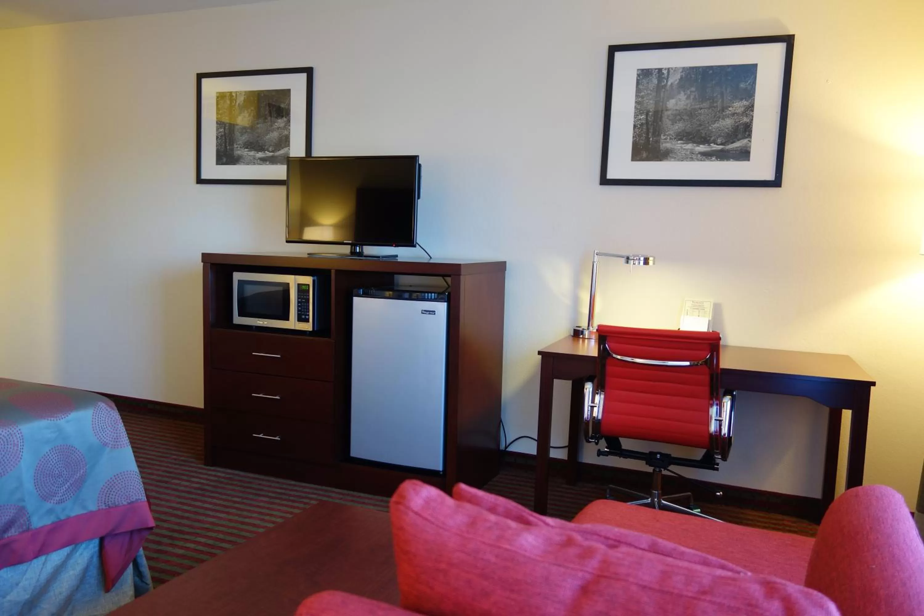 Deluxe Suite - Disability Access/Non-Smoking in Ramada by Wyndham Sacramento