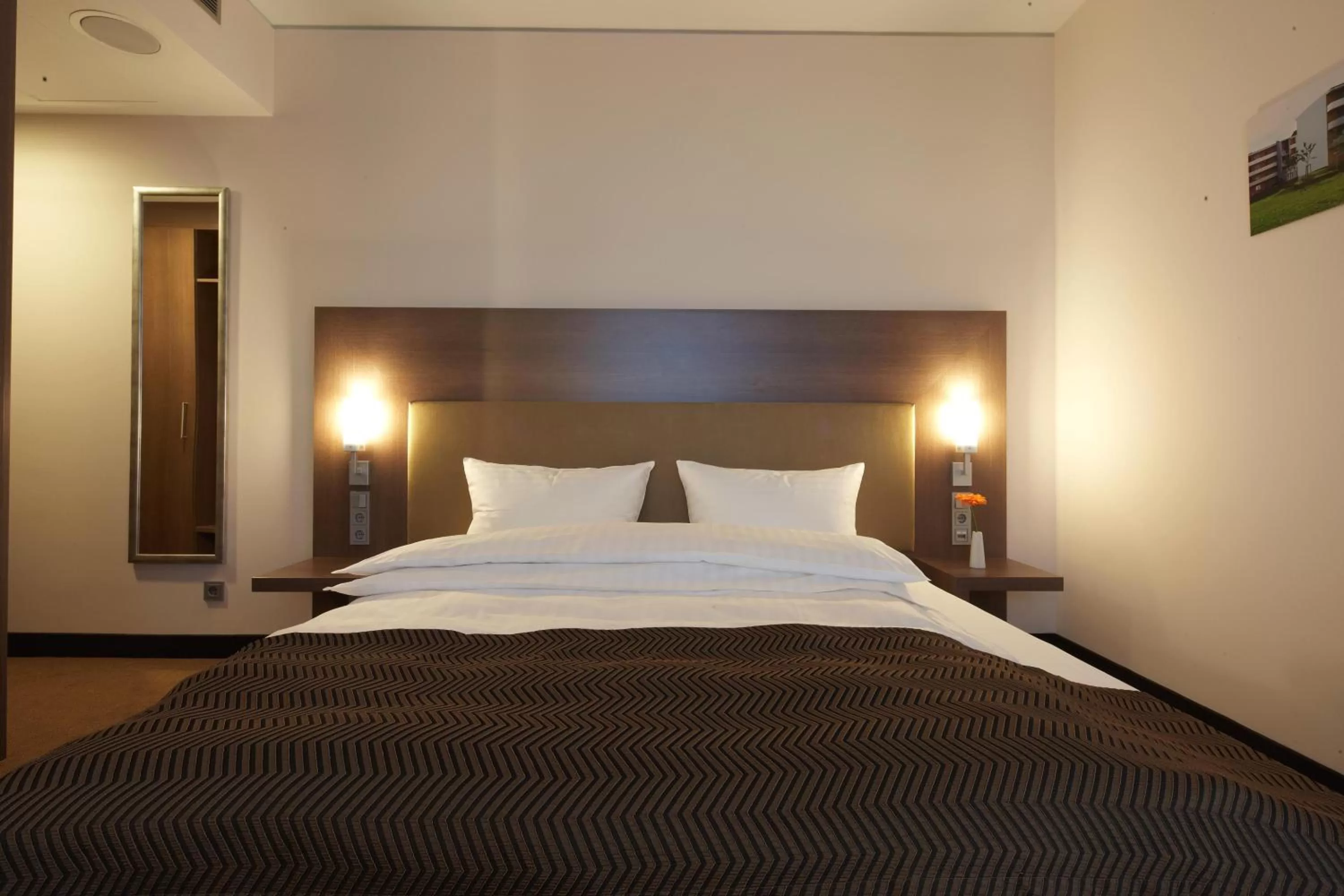 Standard Double Room in IntercityHotel Mannheim