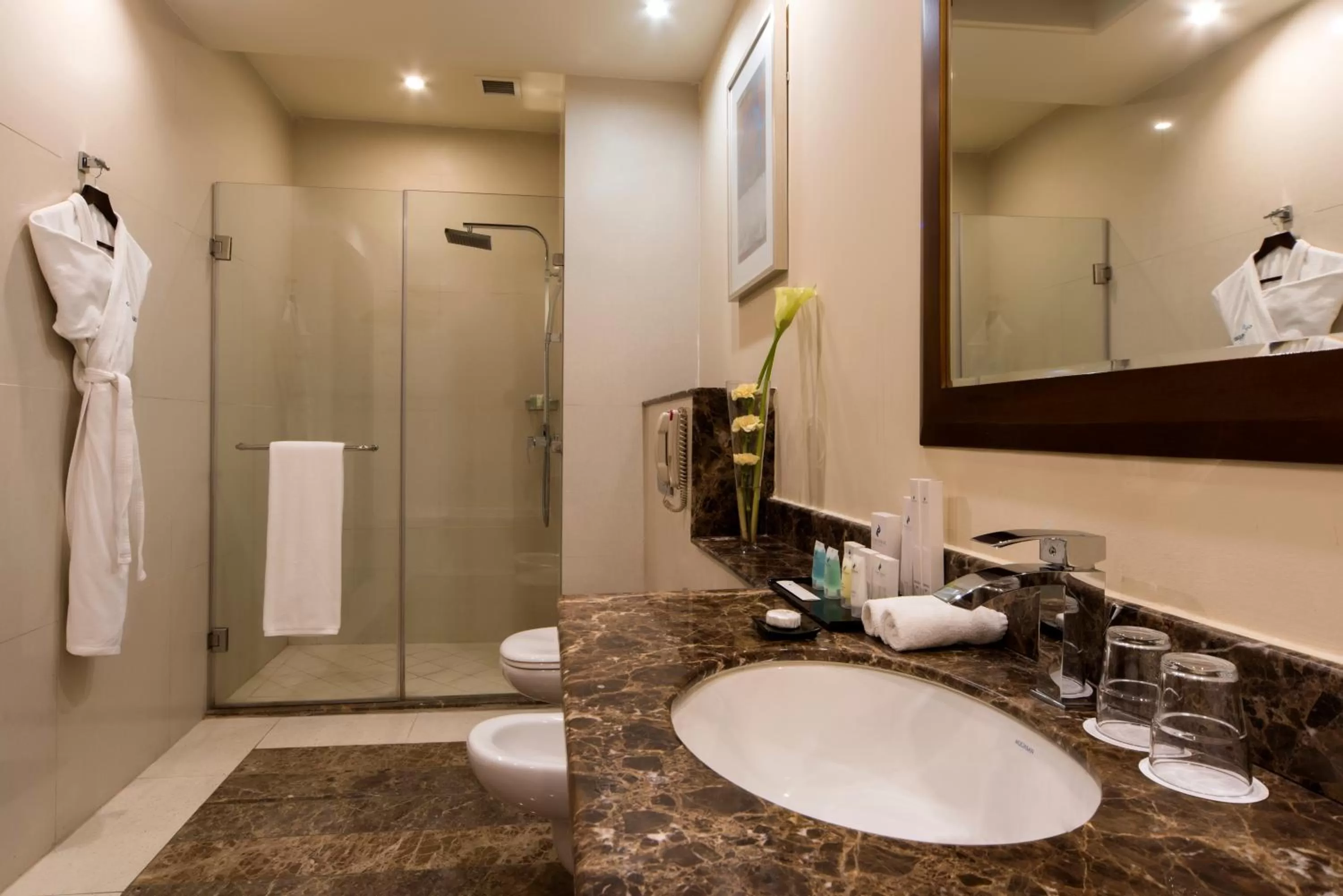 Deluxe Double Room in Concorde Hotel Doha