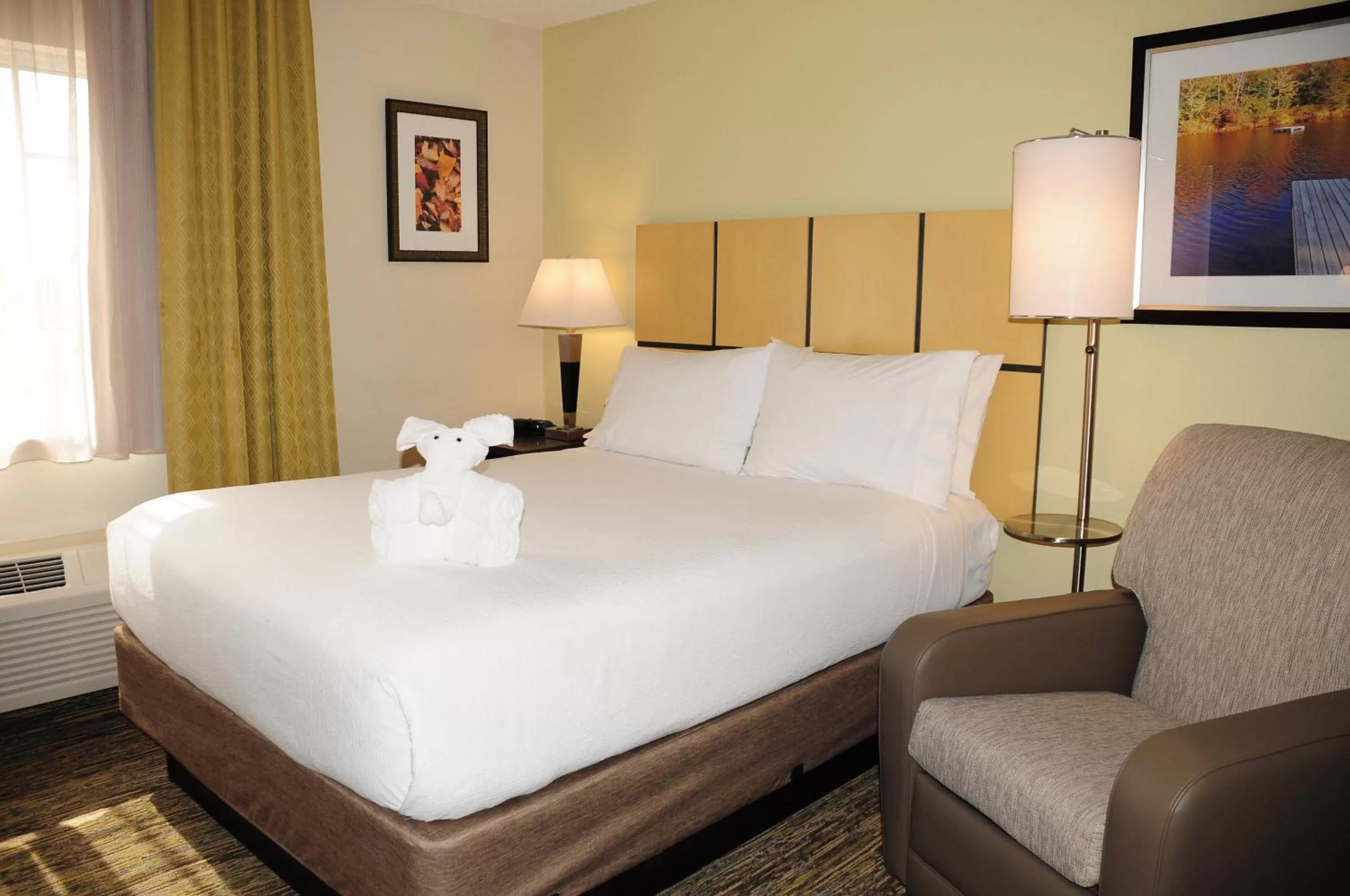 Queen Studio Suite in Candlewood Suites Washington-Dulles Herndon by IHG