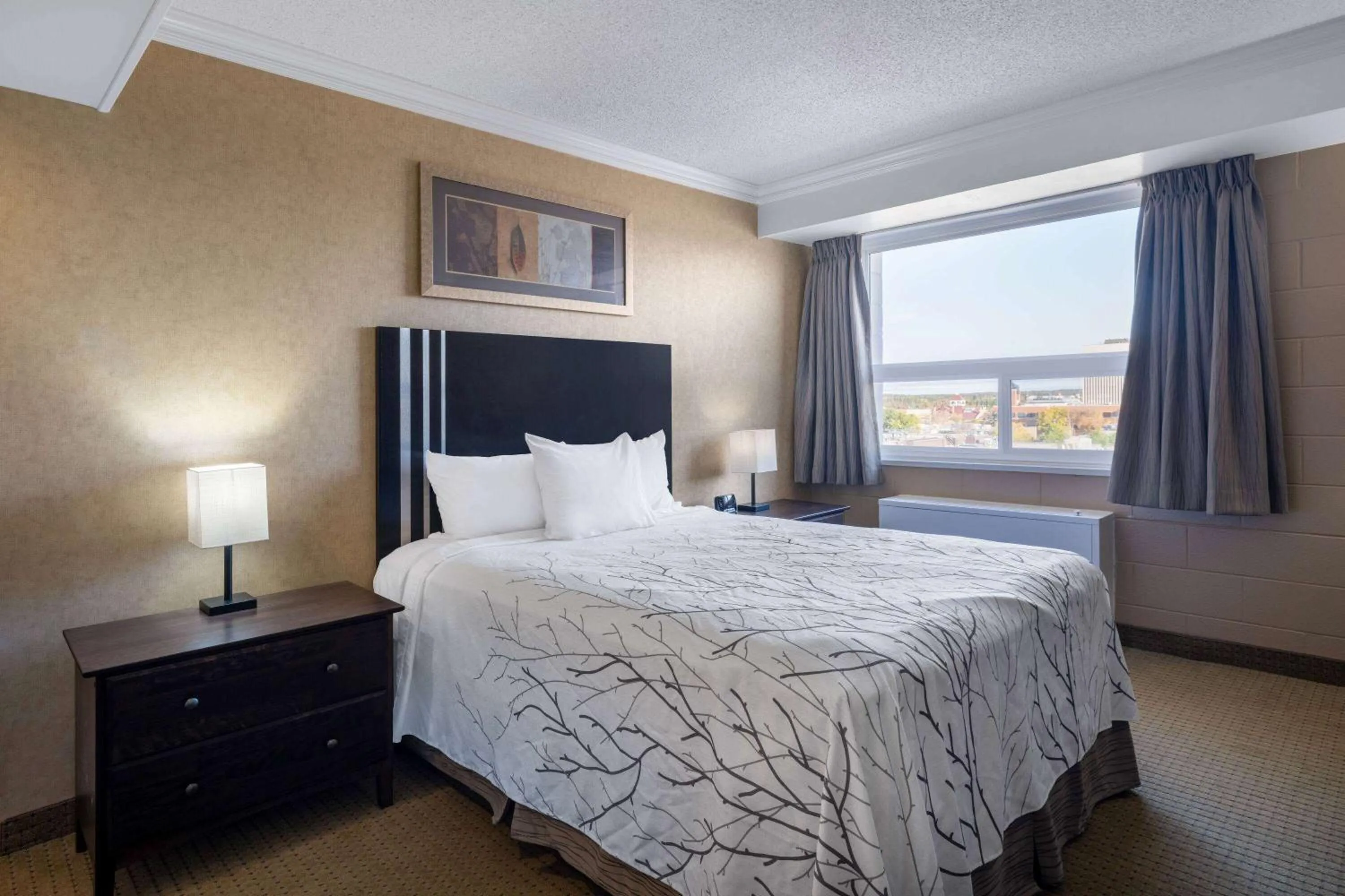 Queen Room - Smoking in Travelodge by Wyndham Prince Albert