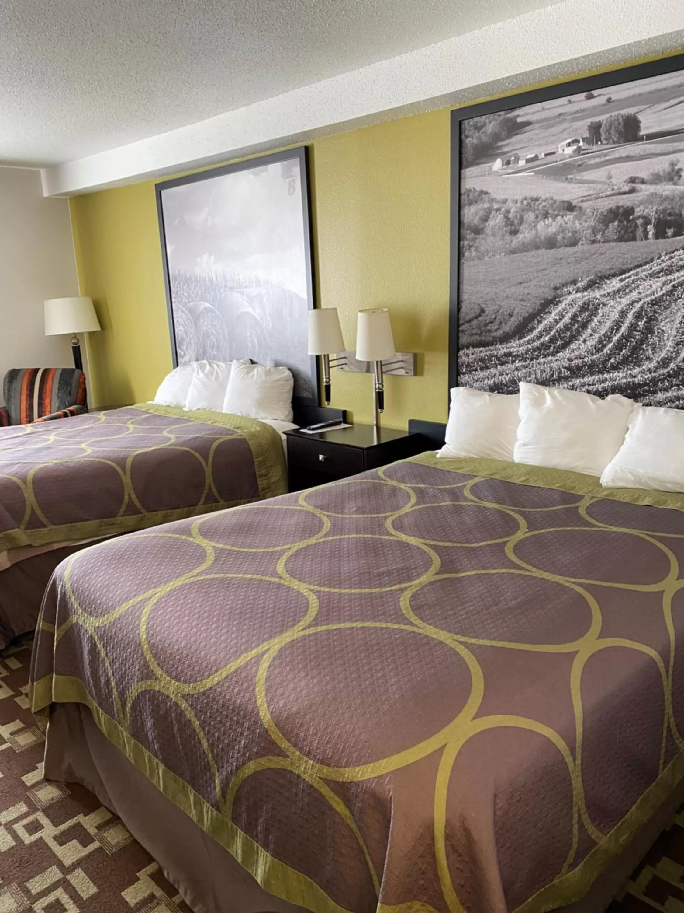 Queen Room with Two Queen Beds - Non-Smoking in Super 8 by Wyndham Independence IA