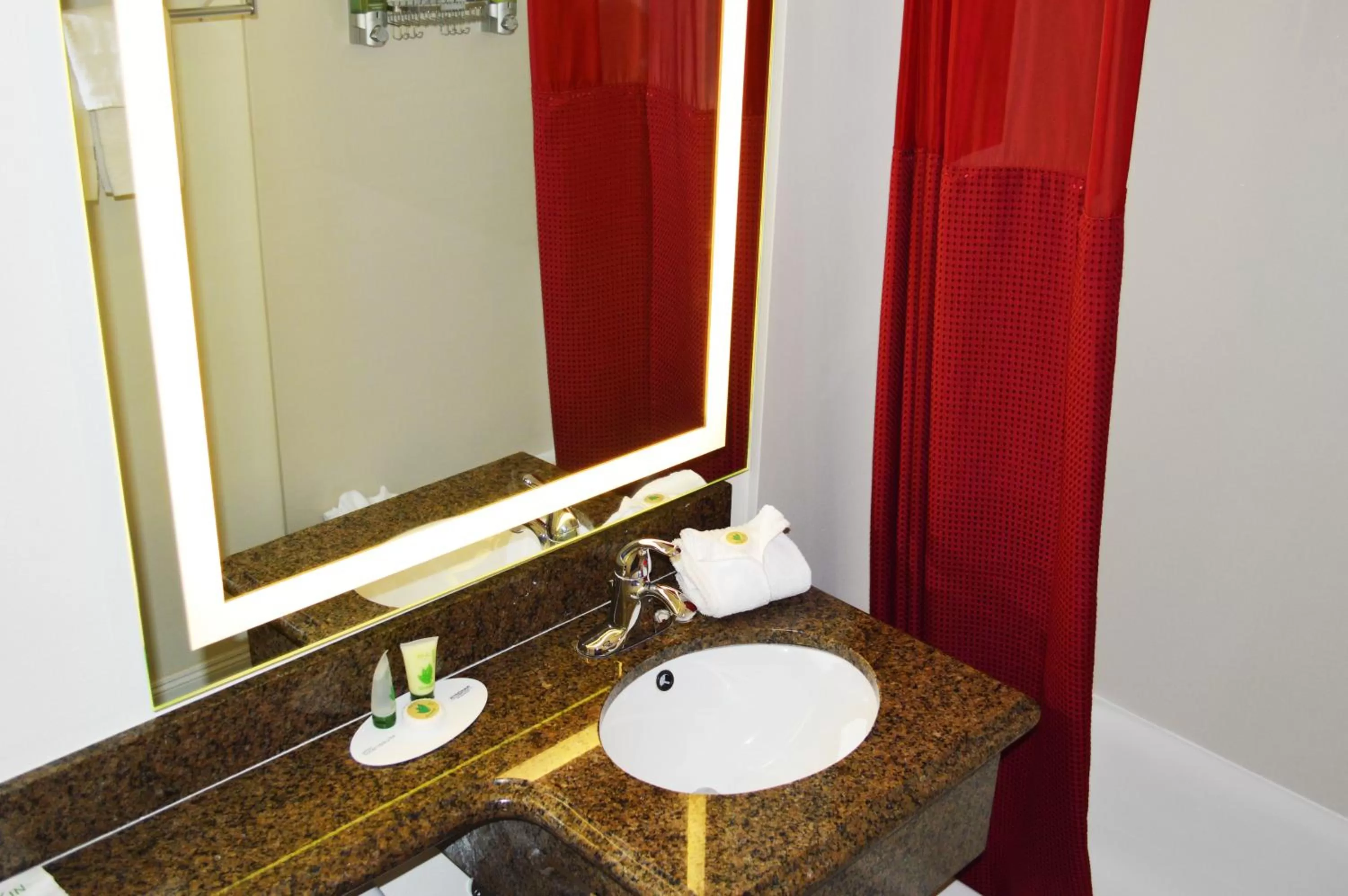 Standard Double Queen Room in Rodeway Inn South San Francisco Airport