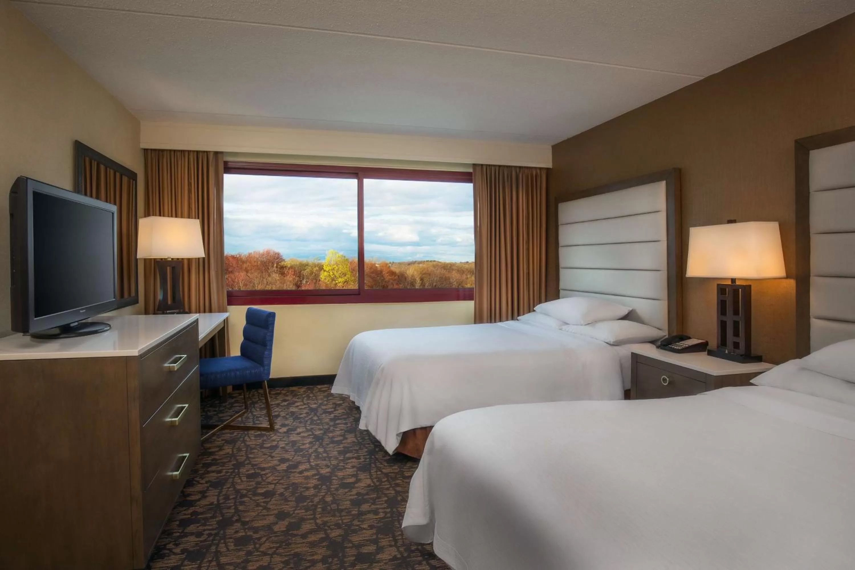 Deluxe Double Suite - Hearing Accessible/Non-Smoking in Embassy Suites by Hilton Boston Waltham