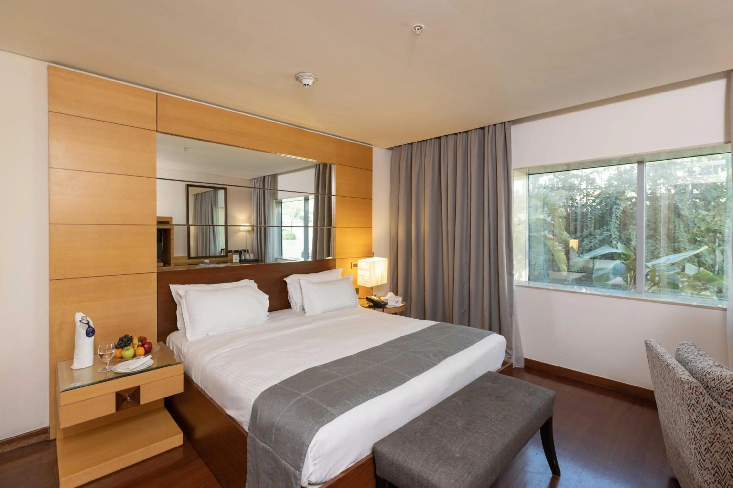 Standard Double Room in Coral Beach Hotel And Resort Beirut