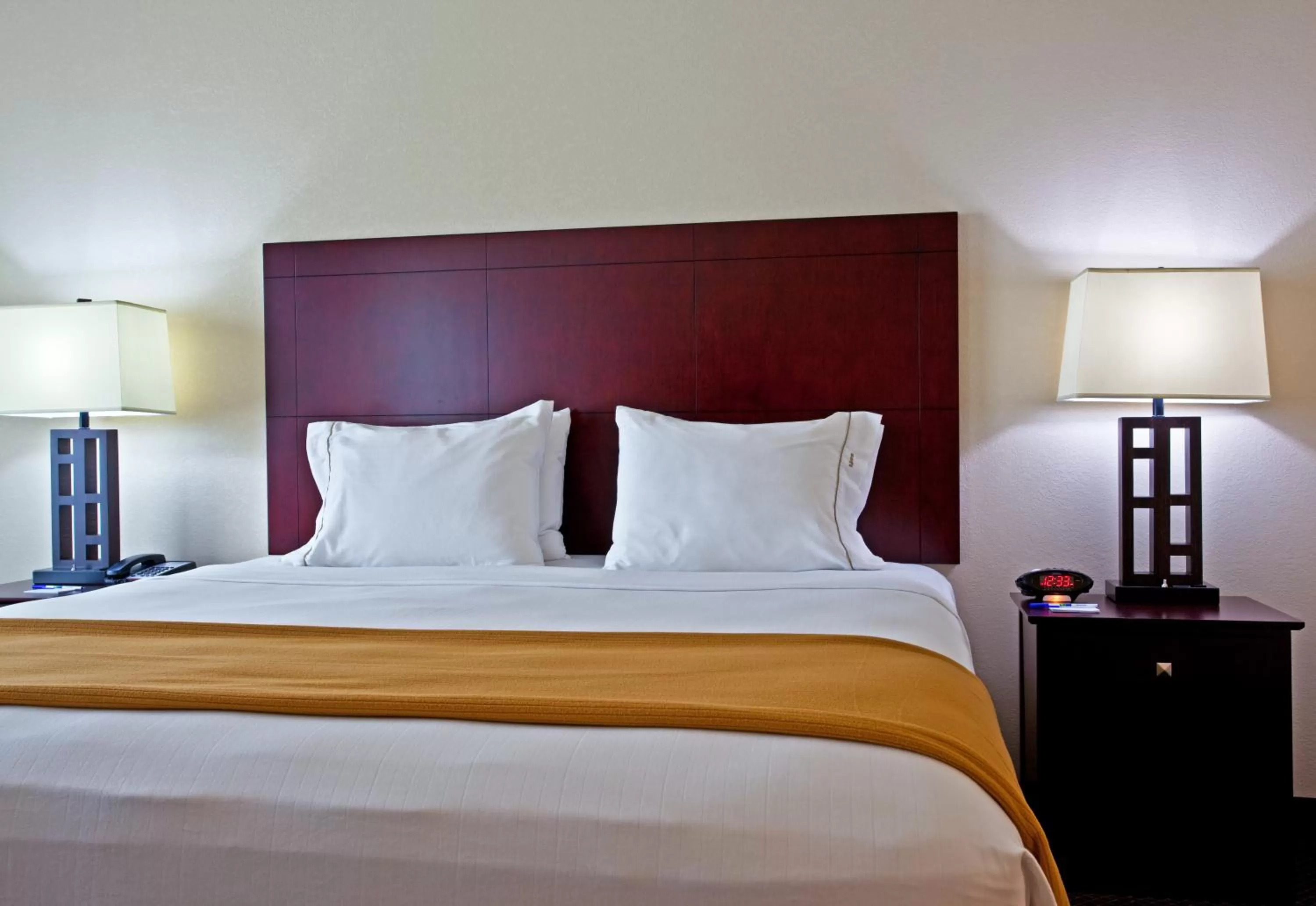 King Suite in Holiday Inn Express & Suites Chicago West-O'Hare Arpt Area by IHG
