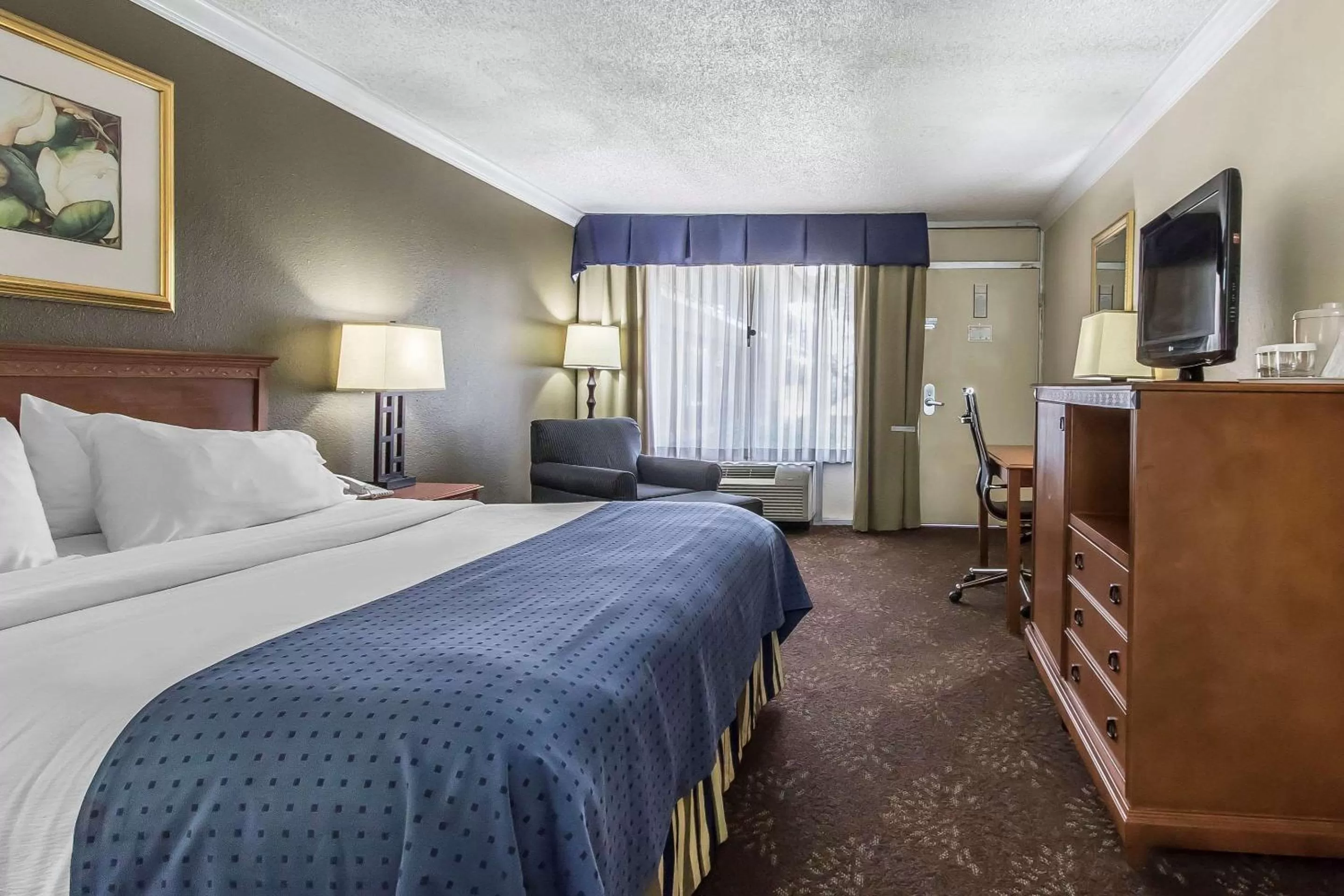 1 King Bed, Nonsmoking, Accessible with Wheelchair accessible in Clarion Inn Morgan City
