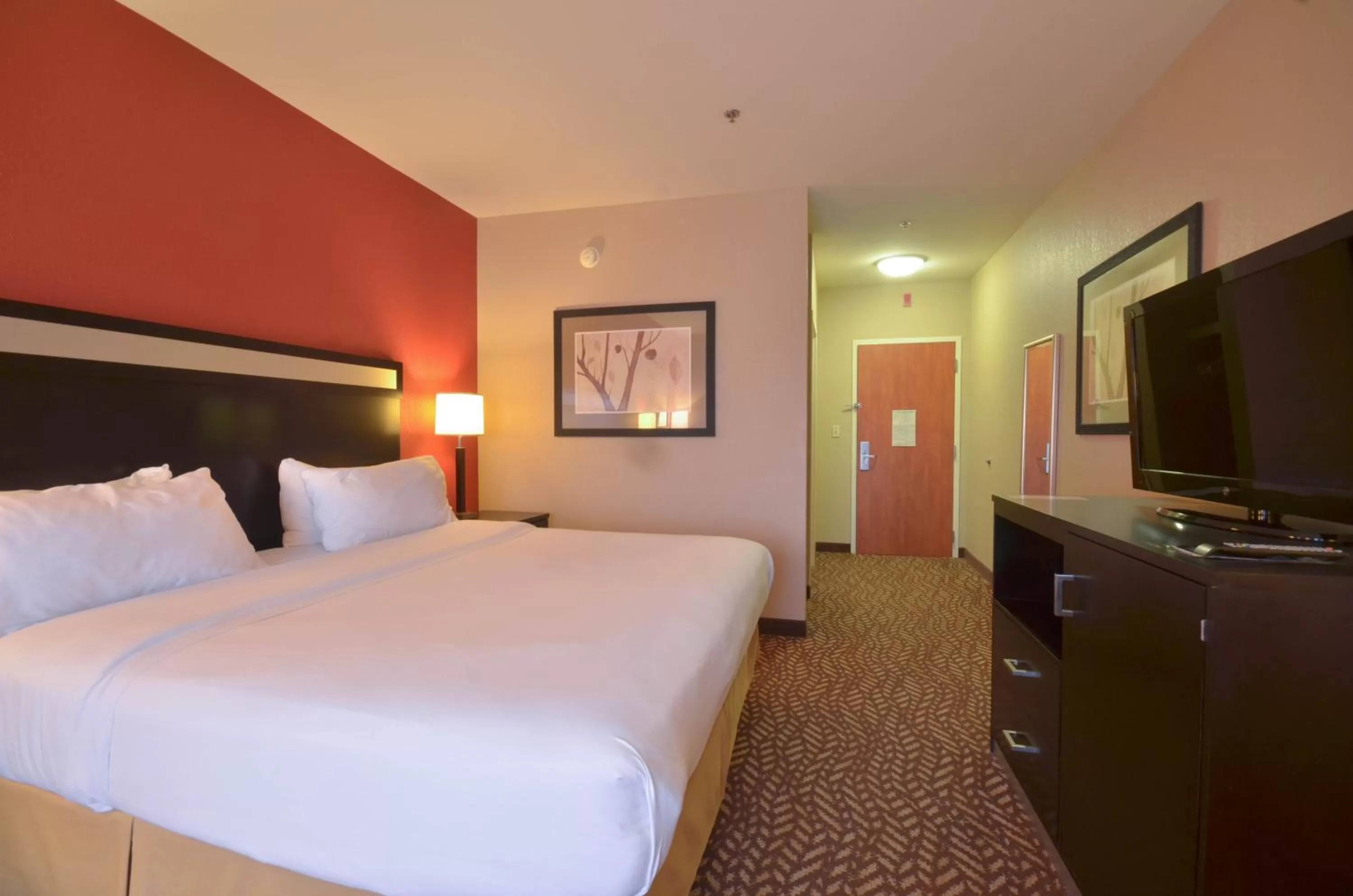 Standard King Room in Holiday Inn Express & Suites Pine Bluff/Pines Mall by IHG
