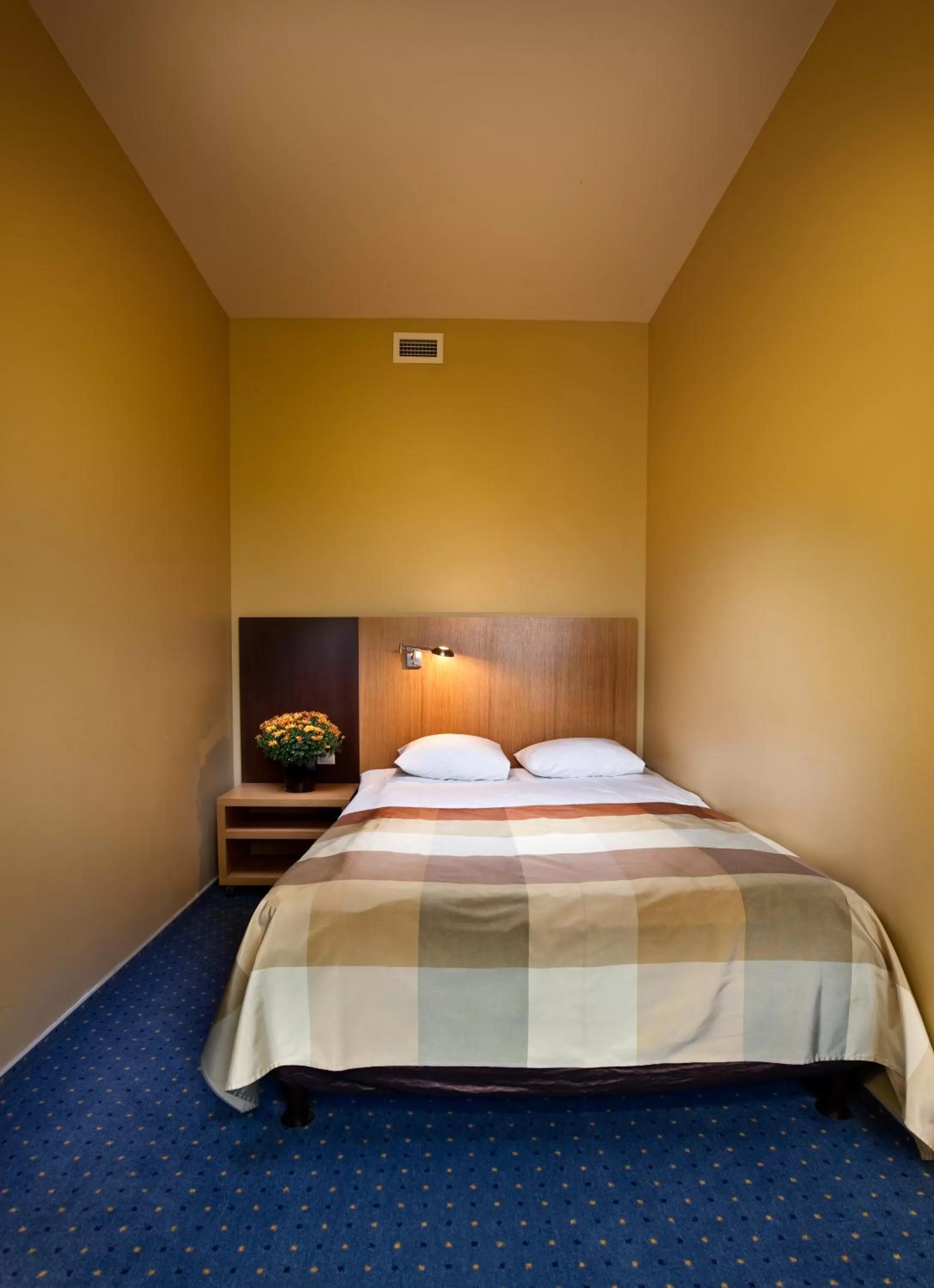 Standard Single Room in Hanza Hotel