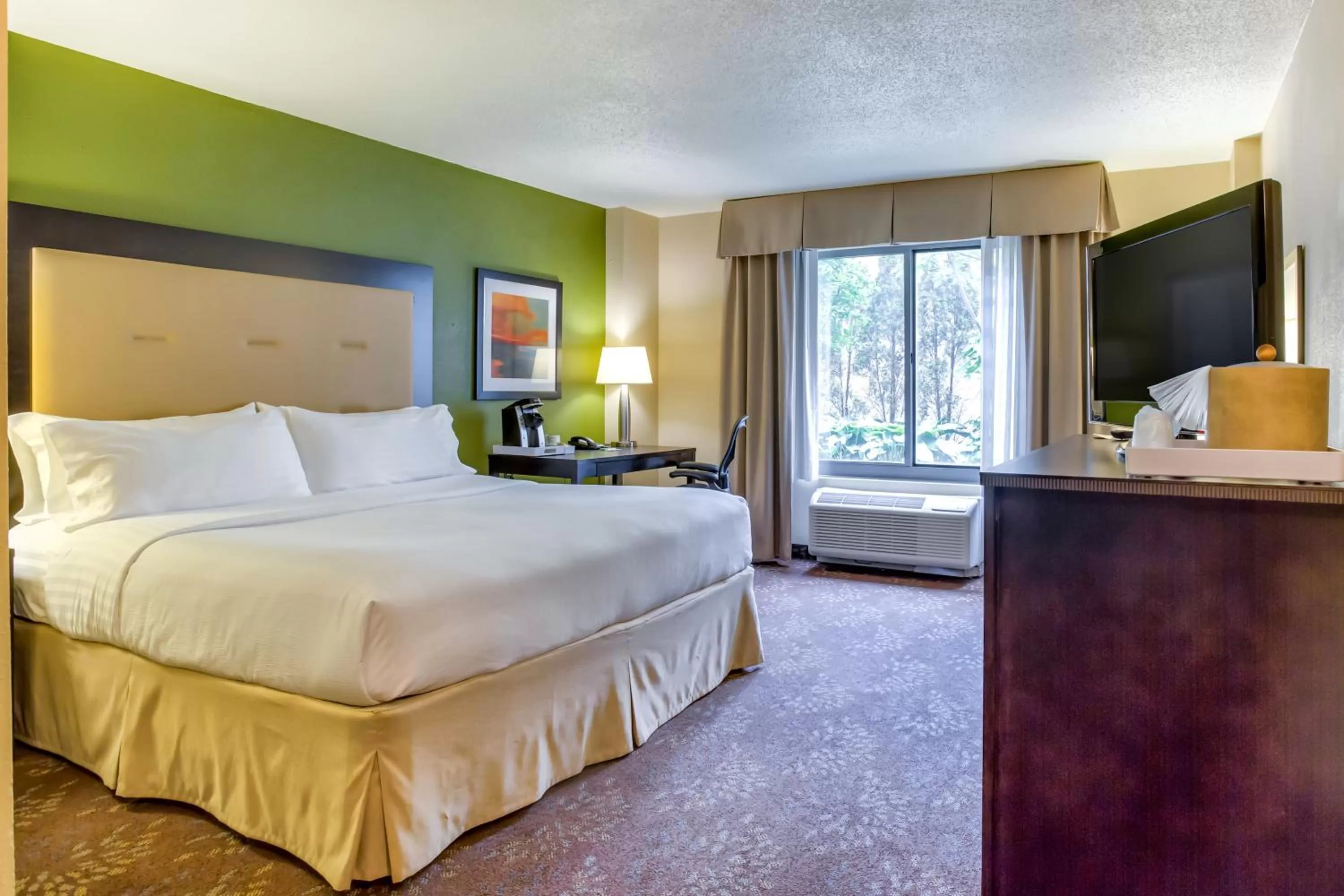 One-Bedroom King Suite - single occupancy in Holiday Inn Indianapolis North-Carmel by IHG