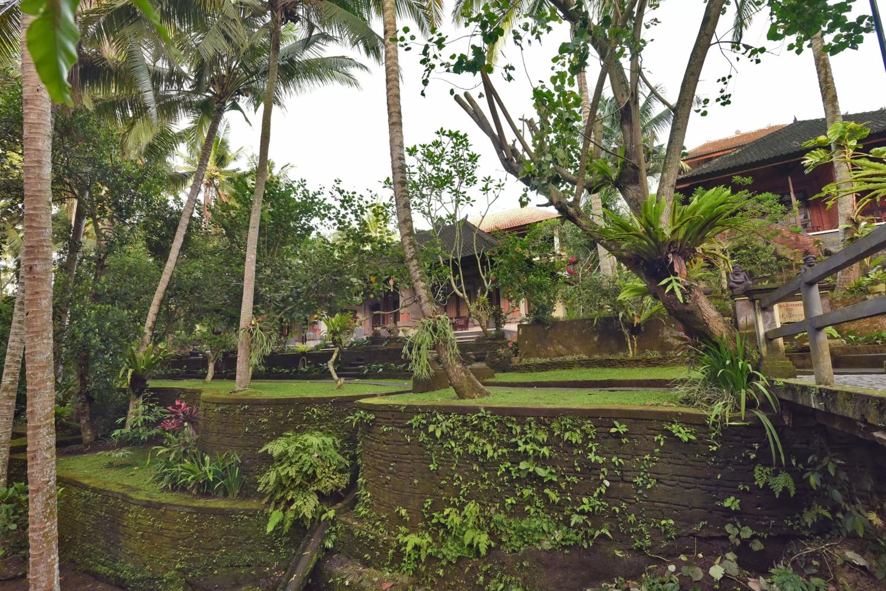 Deluxe Room with Shower in Nick's Pension