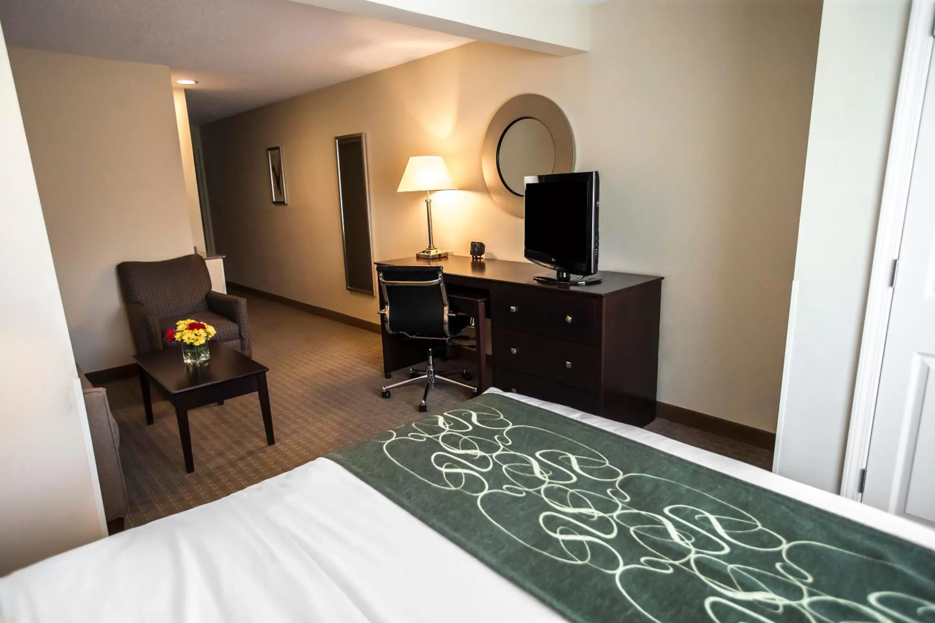 One Room Suite with Sofa bed - Non Smoking in Comfort Suites University Area Notre Dame-South Bend