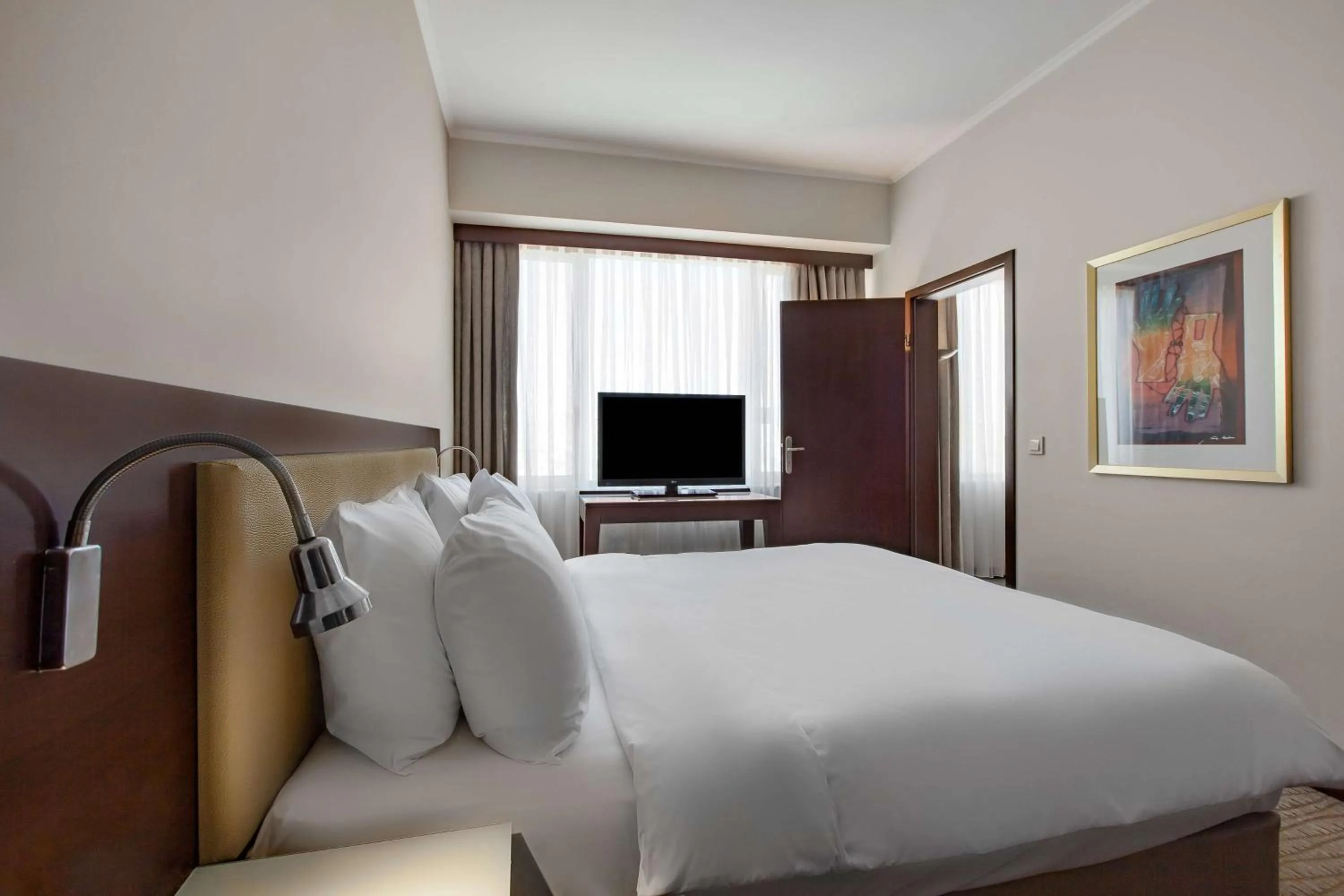 Suite with City View in Radisson Blu Ankara