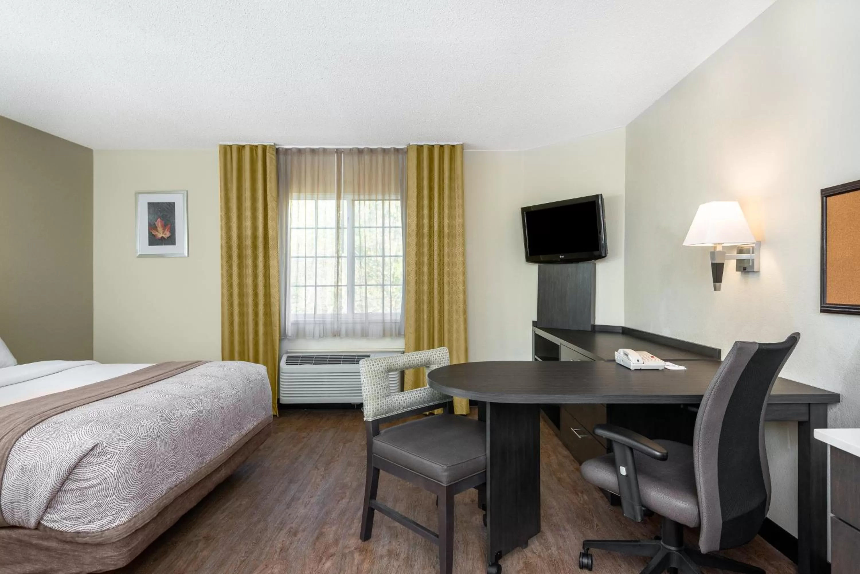 Queen Studio Suite - Mobility Access Roll in Shower/Non-Smoking in Candlewood Suites Durham - RTP by IHG
