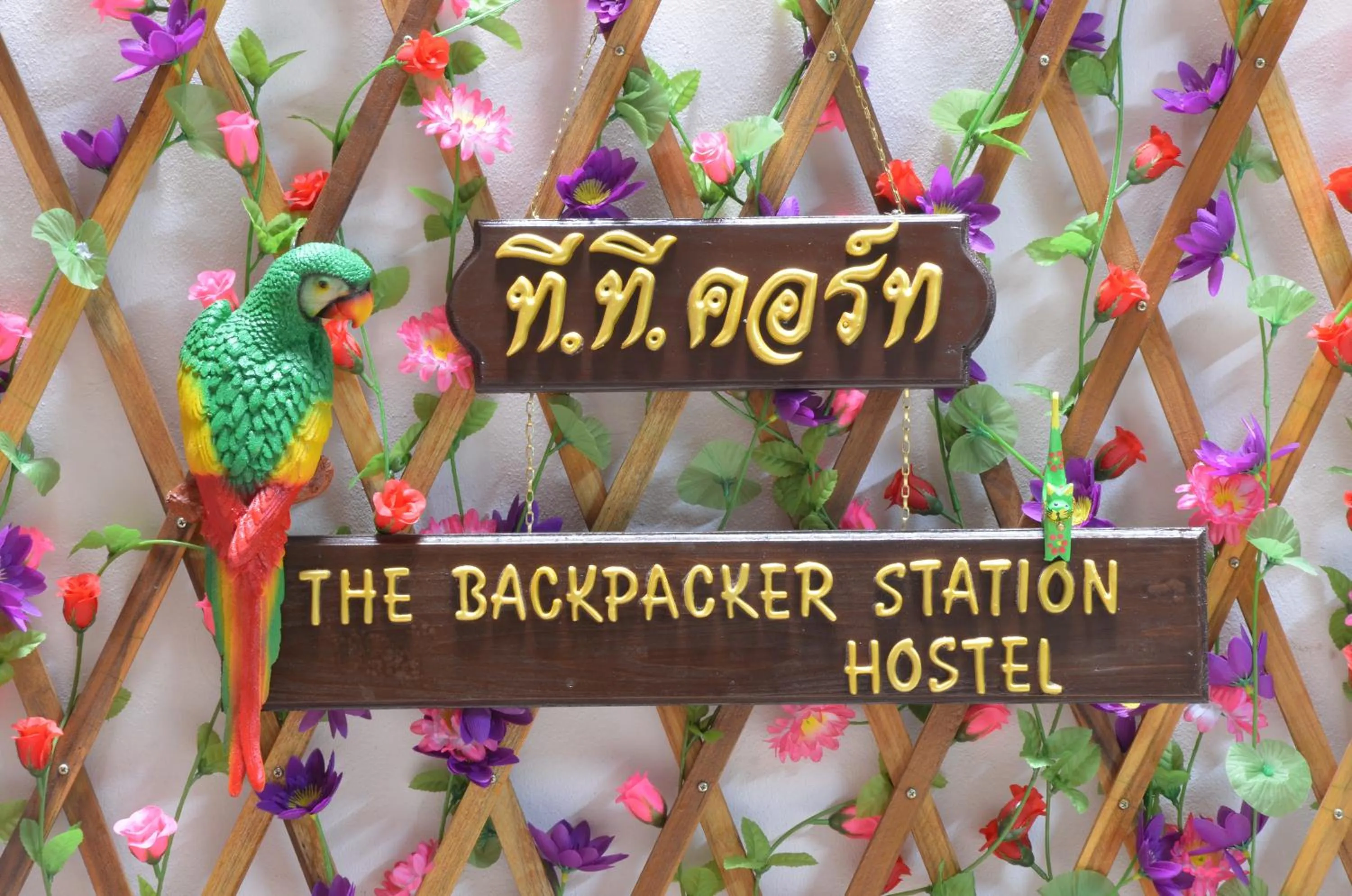 The Backpacker stn