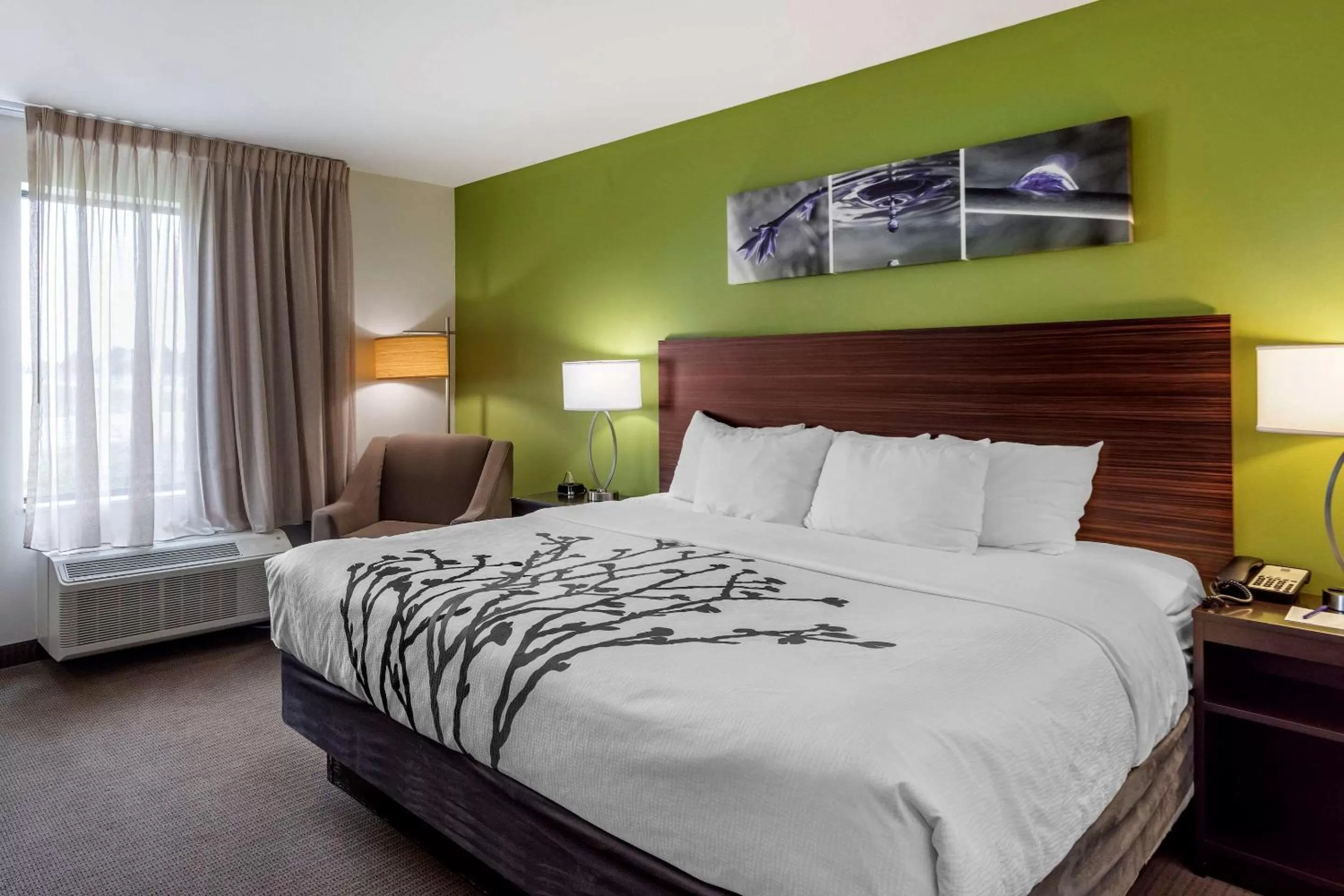 King Room - Non-Smoking in Sleep Inn Bowling Green North