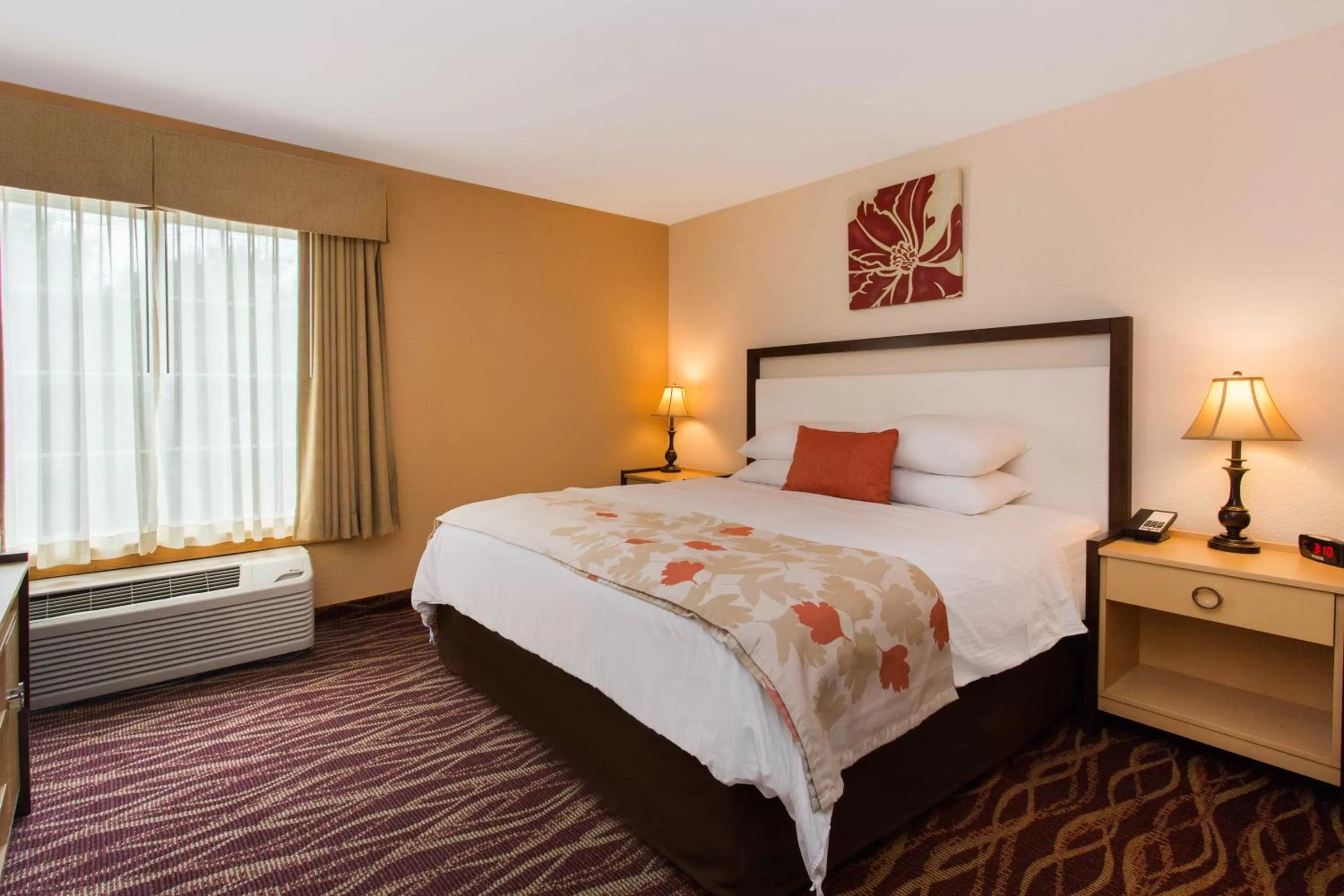 King Room - Non-Smoking in Hawthorn Suites by Wyndham Allentown-Fogelsville