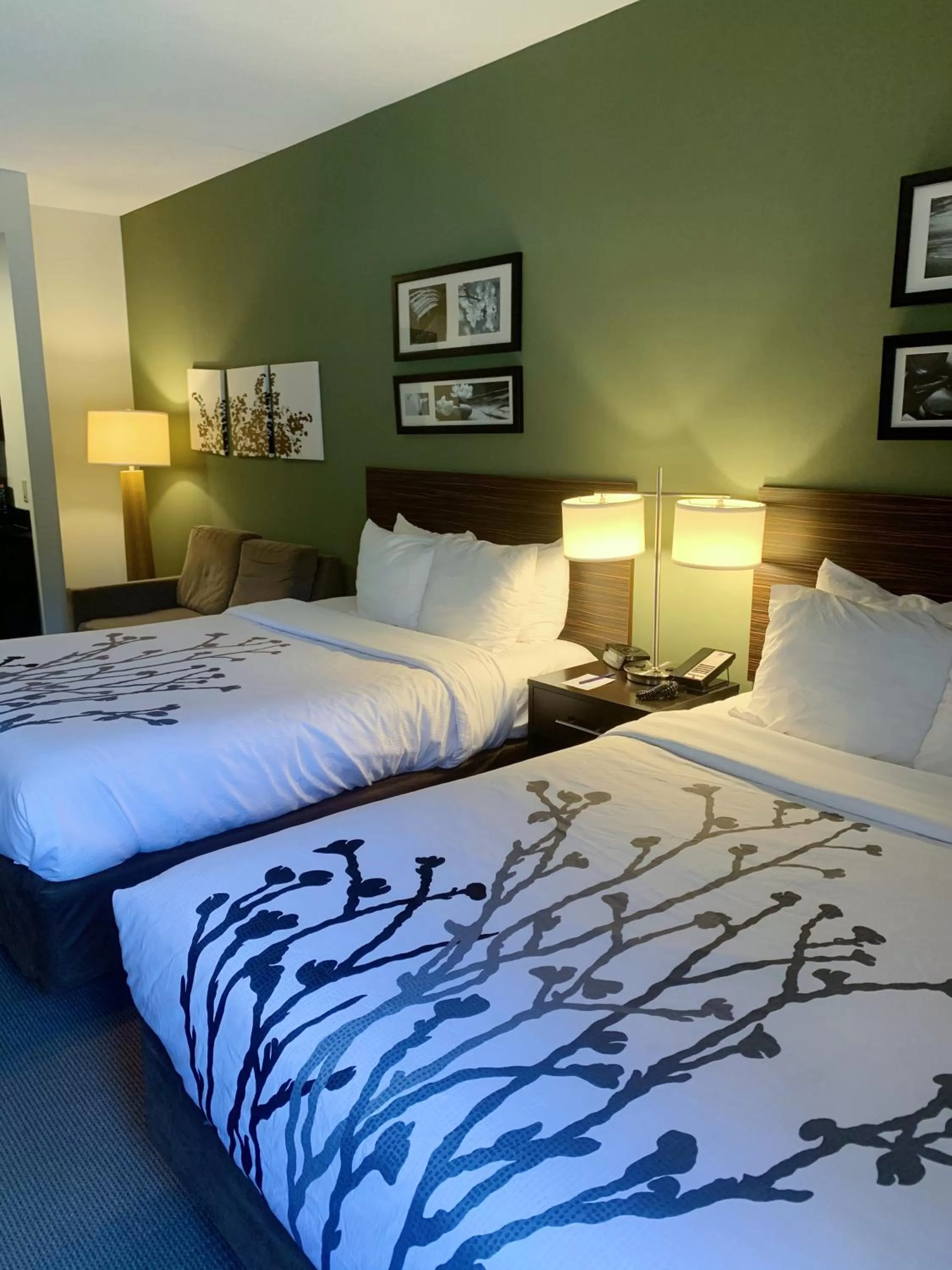 Queen Suite with Whirlpool - Non-Smoking in Sleep Inn & Suites Queensbury - Lake George